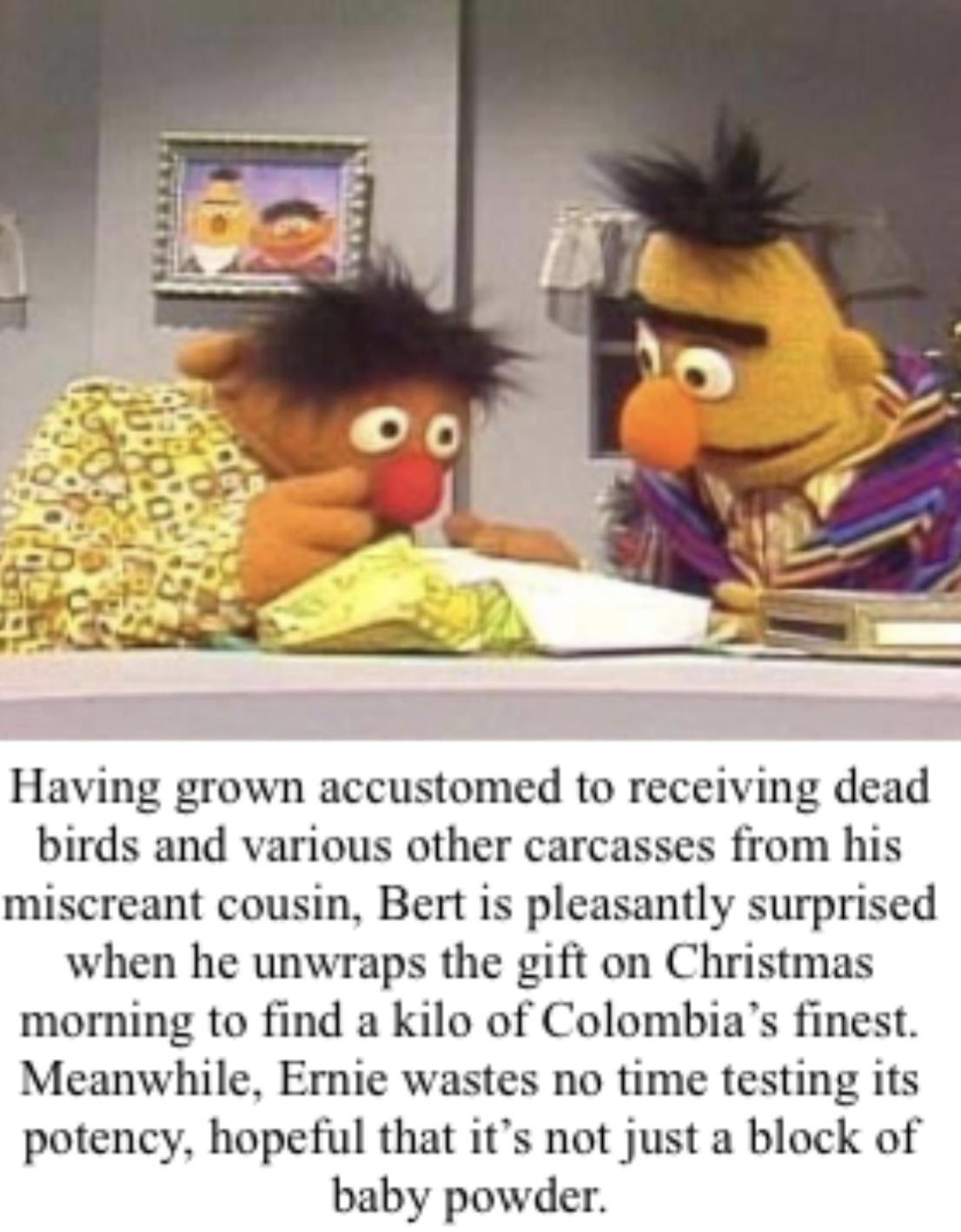 Best Christmas Gift Ever r/bertstrips