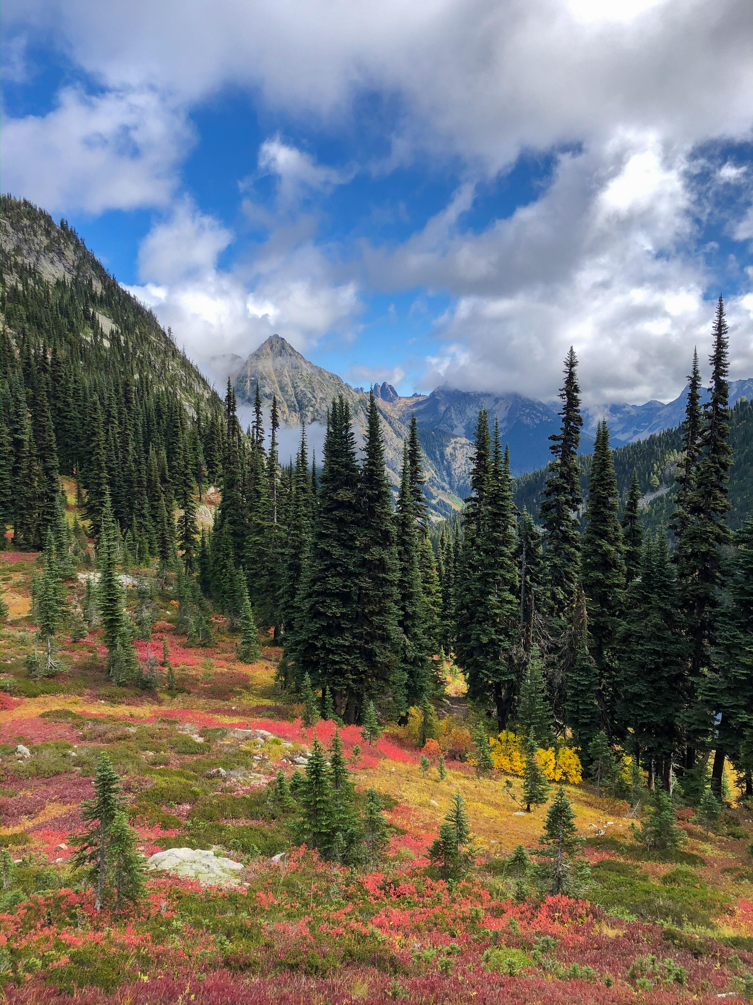 North Cascades NP Idyllic Fall Colors [OC][3024x4032] r/EarthPorn