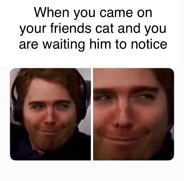 Not a english native speaker memes