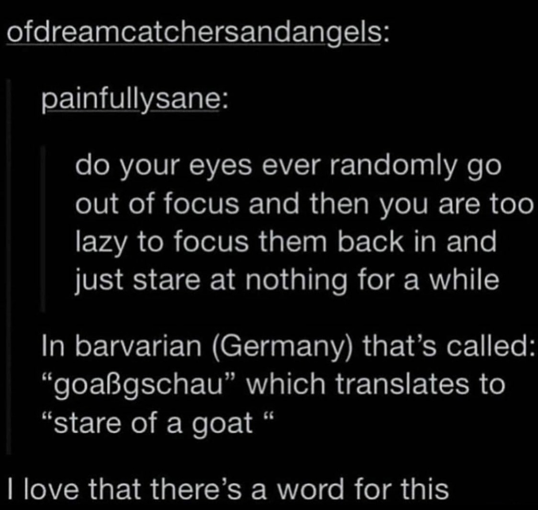 There's a German word for everything r/tumblr
