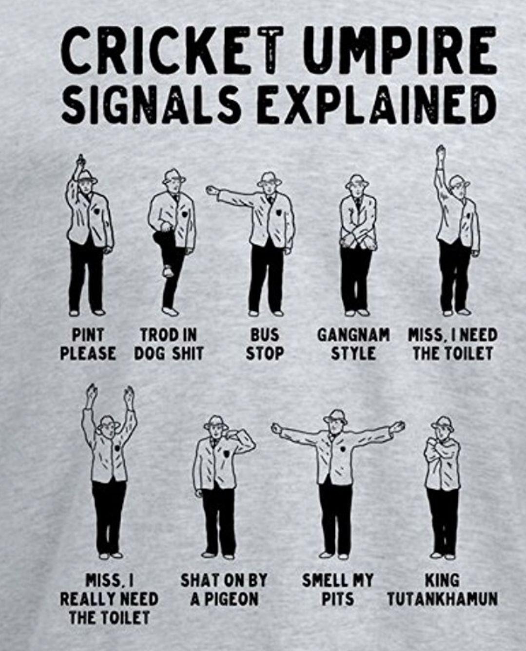 Cricket umpire singnals explained. r/CricketShitpost
