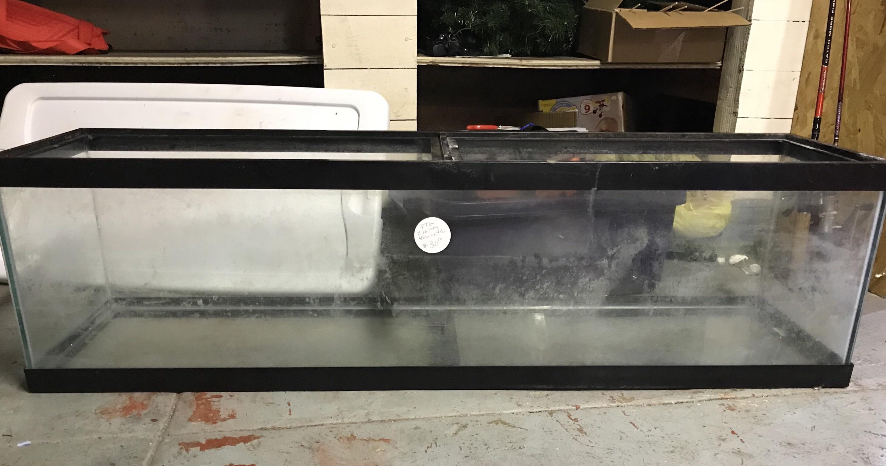 Stole this tank!!! 33 long. Stocking ideas? r/Aquariums