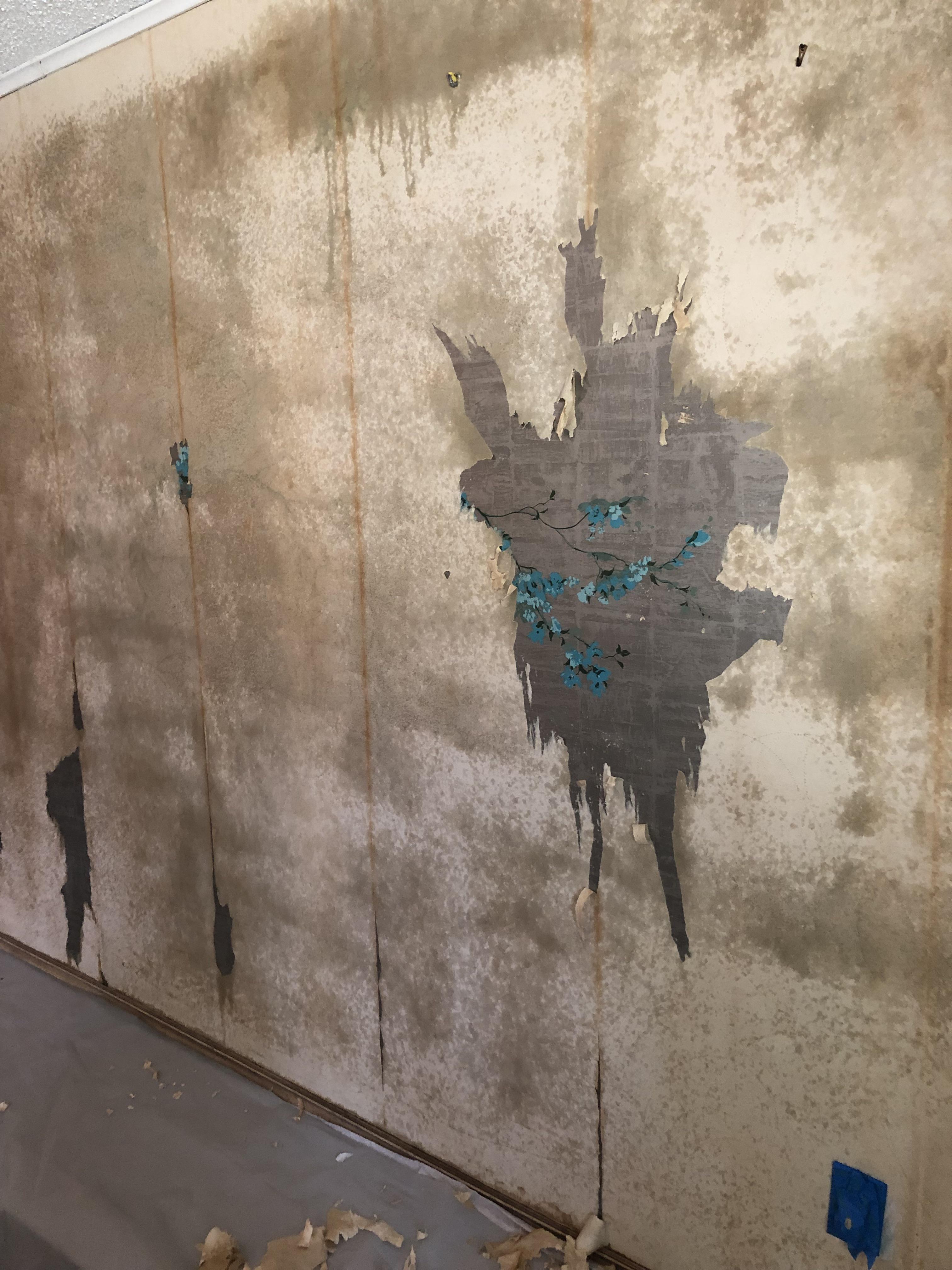 Removed the first layer to find foil wallpaper beneath🙈… We have a wallpaper steamer that