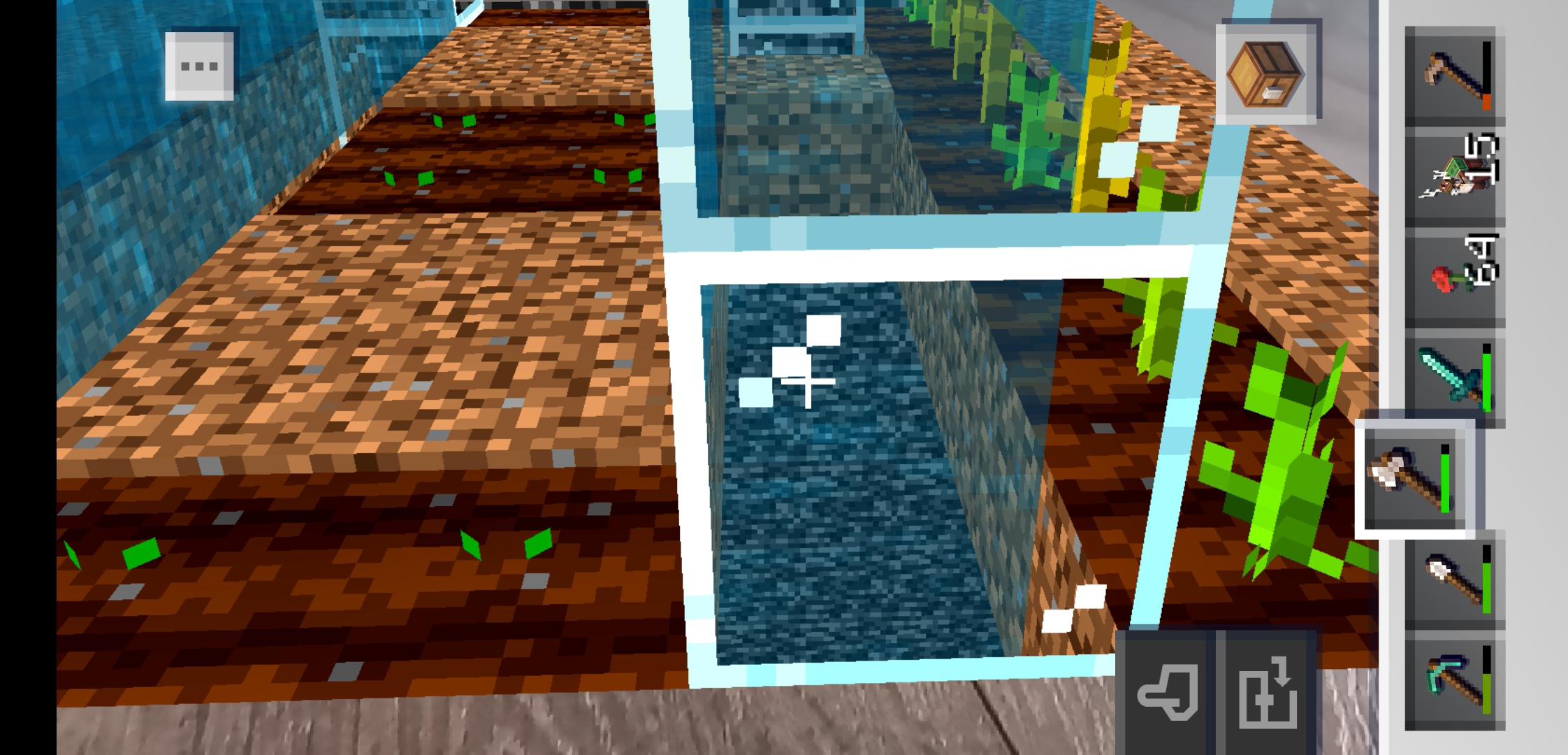 Been growing my melon seeds for a while, I planted these melon seeds