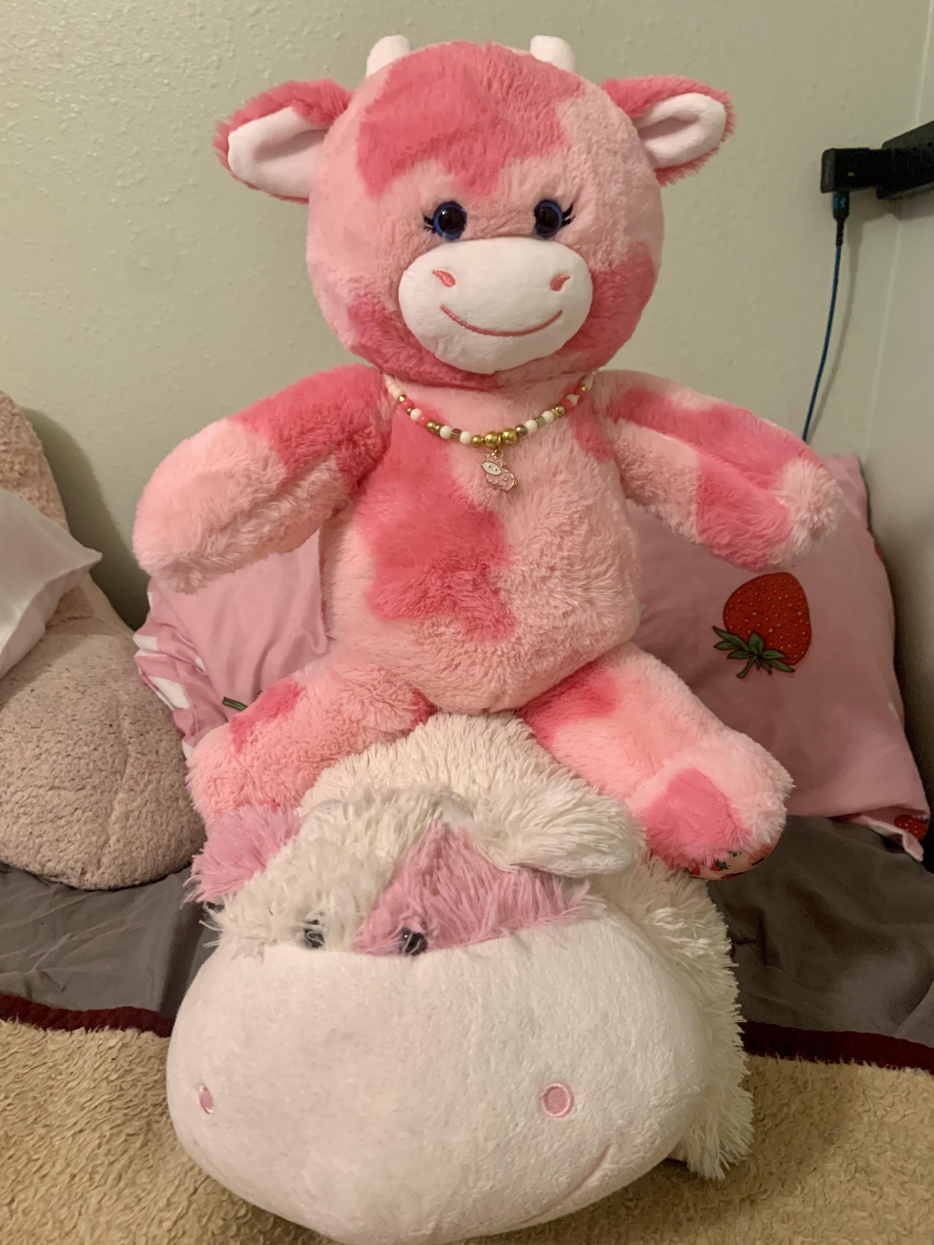 Strawberry Cow Build a Bear meets Strawberry Cow Pillow Pet 🍓 r