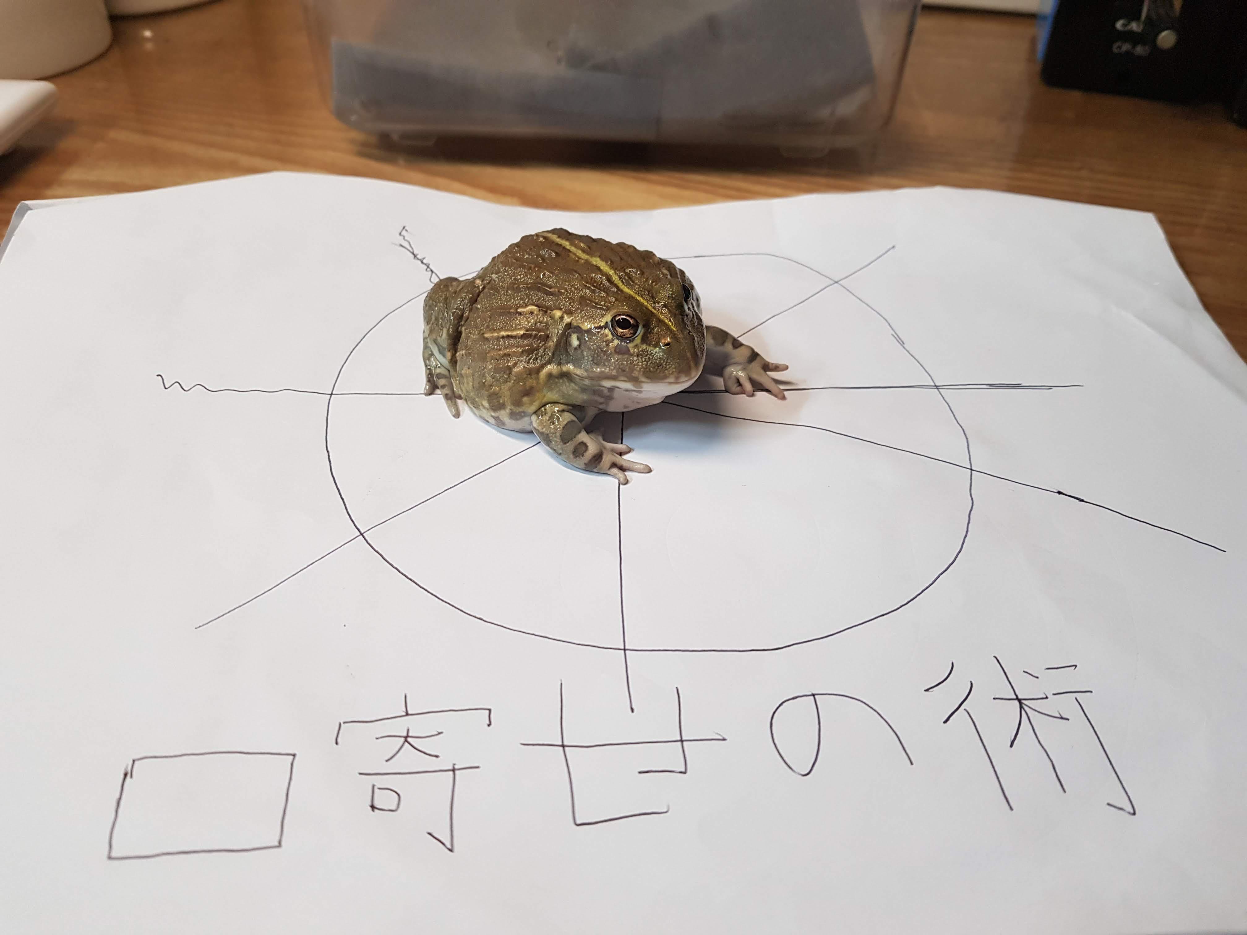 Summon no justu Naruto