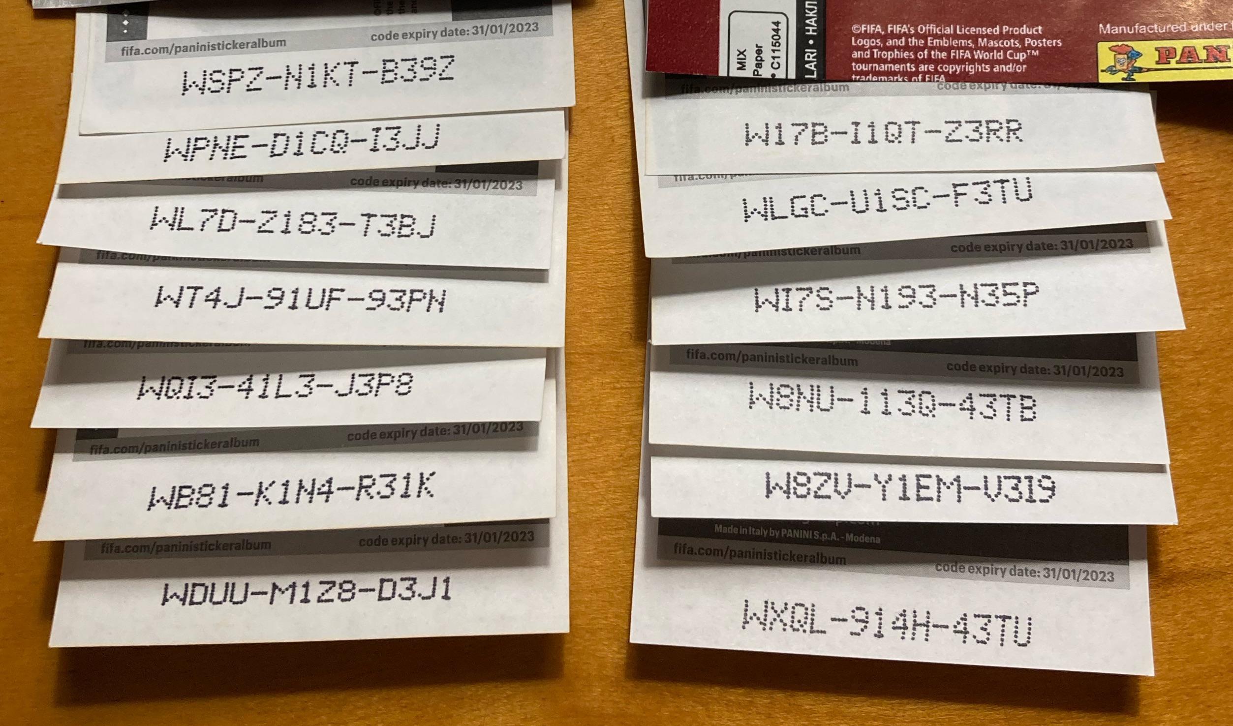 Online codes for 2022 WC r/Panini