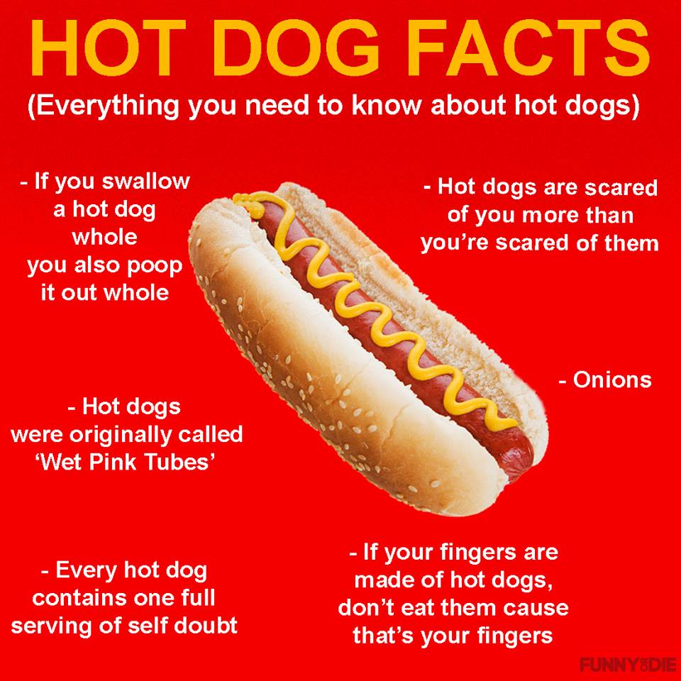 Hotdog Facts r/nightvale