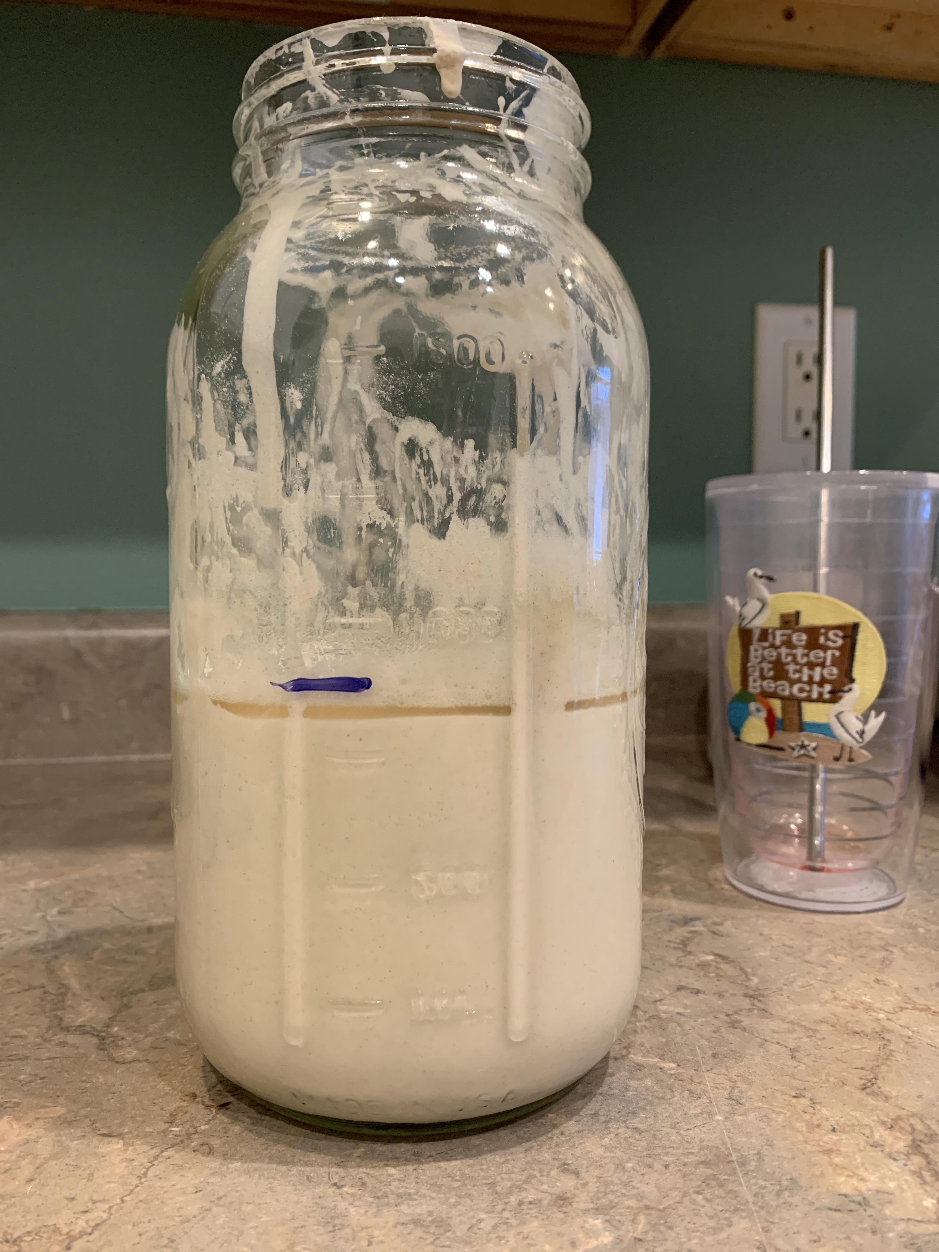 Day 5 of my first sourdough starter. It has this liquid on top that has