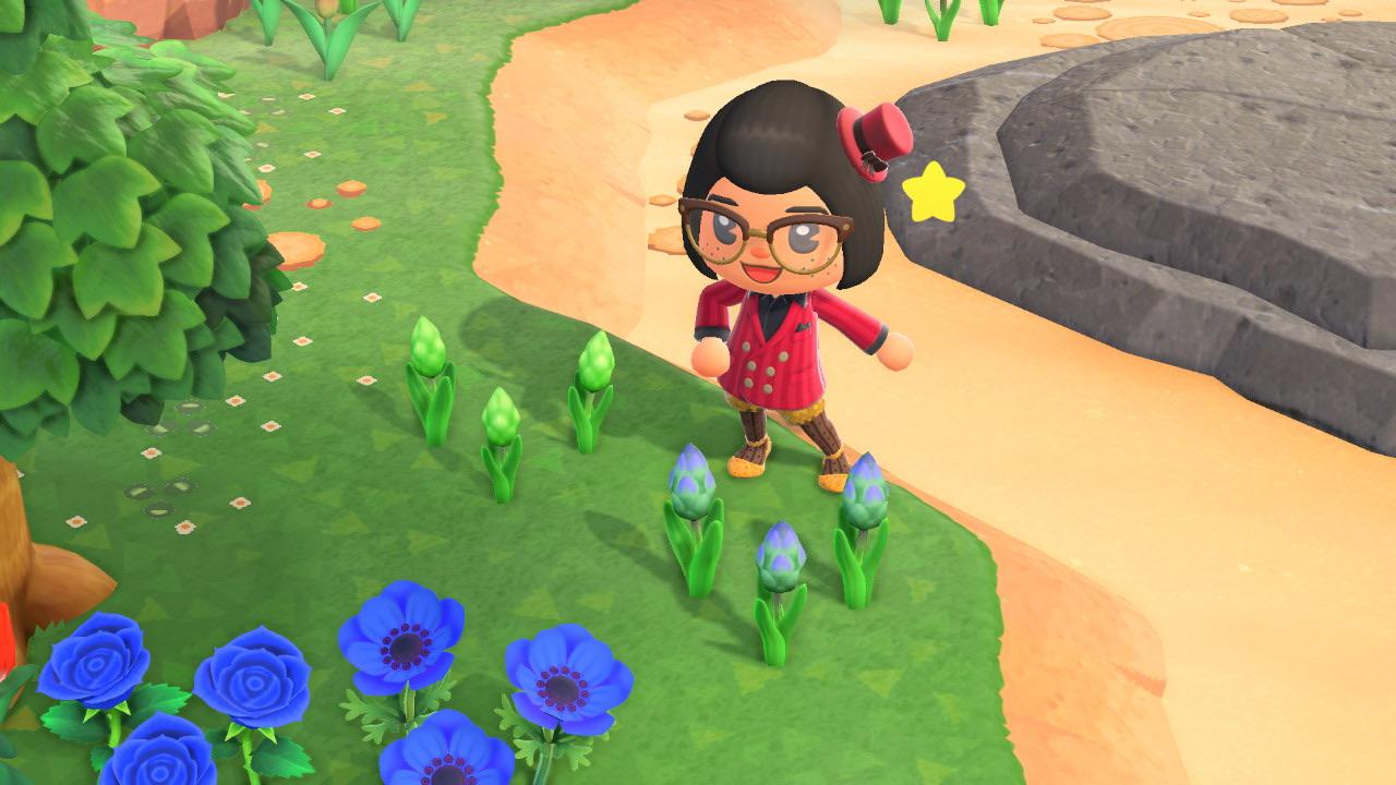 PSA You can tell the difference between a plucked flower (left) and a