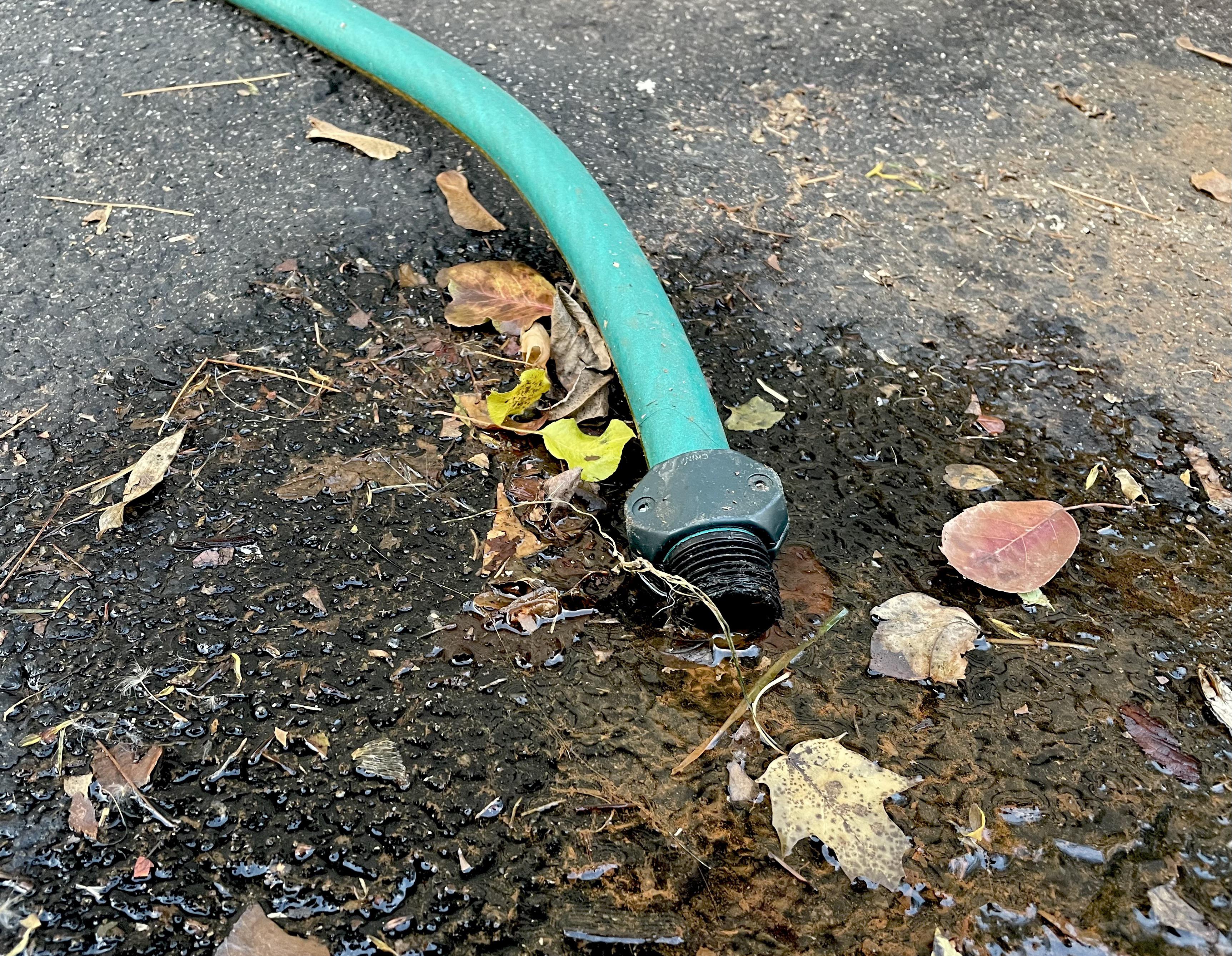 What is this brown sediment coming from boiler relief valve? 30 yr old