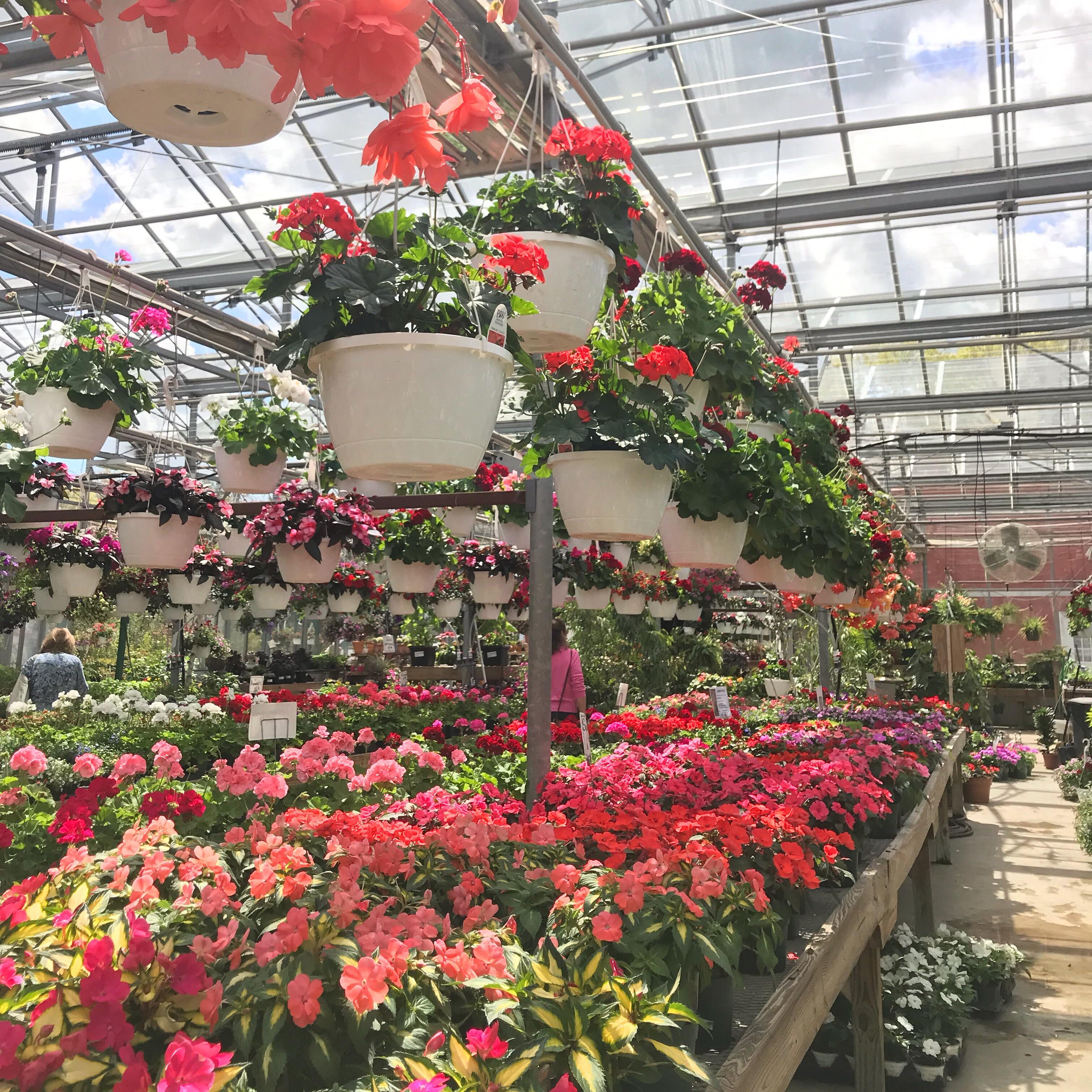 A flower shop in CT that made me happy! r/pics