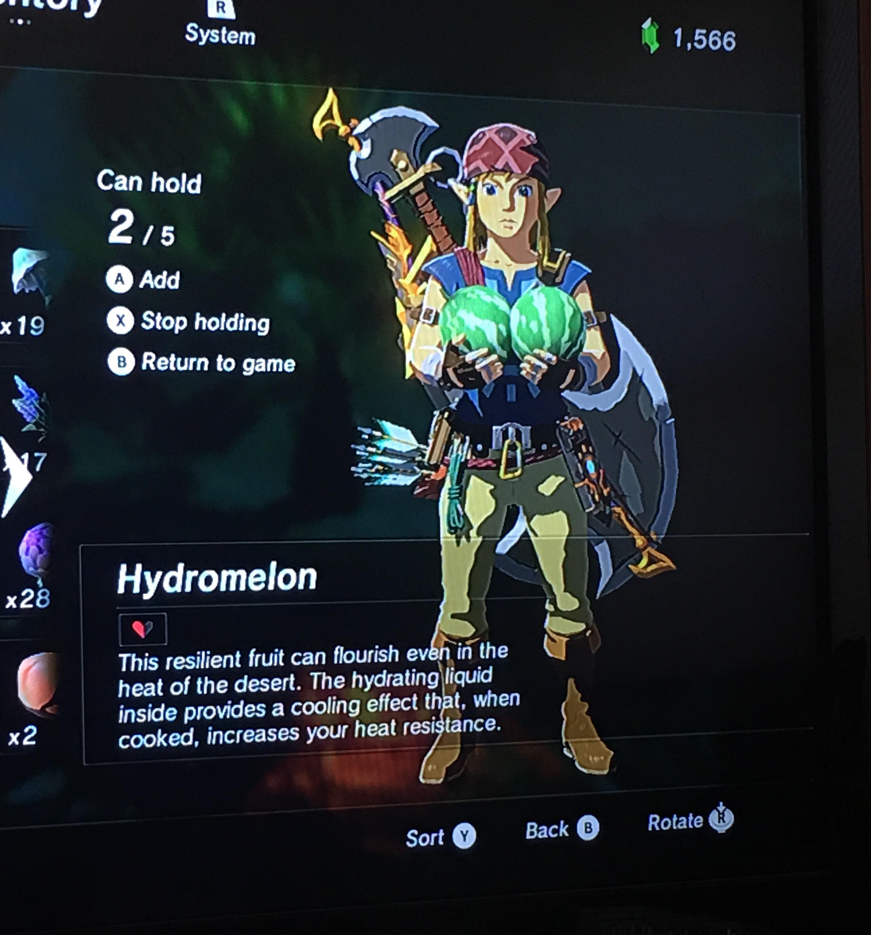 Link Admiring His Large Melons r/Breath_of_the_Wild