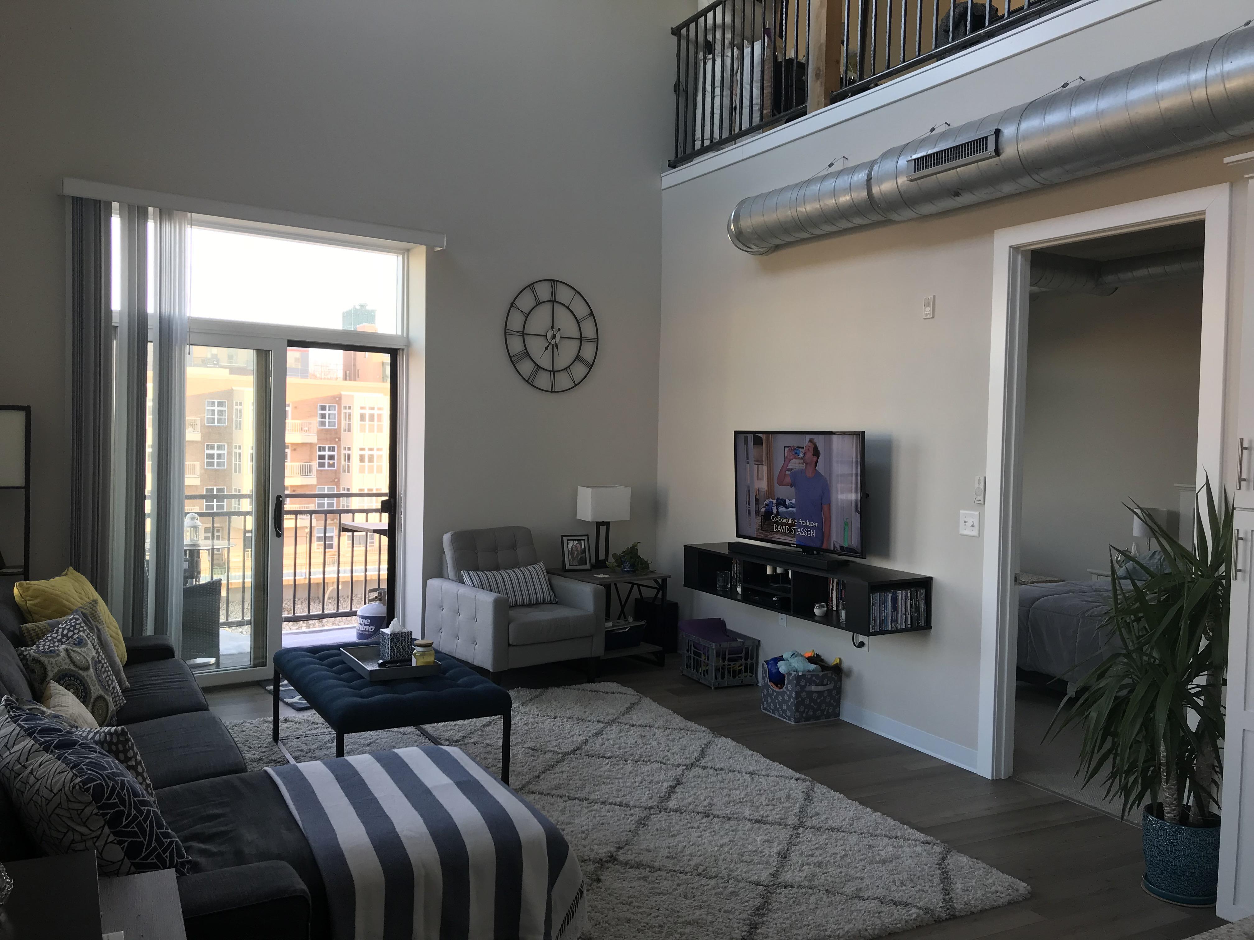 Loft apartment in Milwaukee. Goals this spring are more plants and more