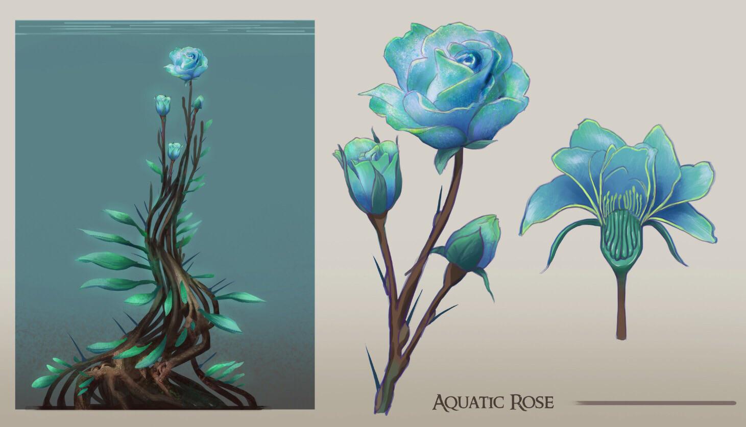 The aquatic rose, a rare and beautiful flower for you to add to your