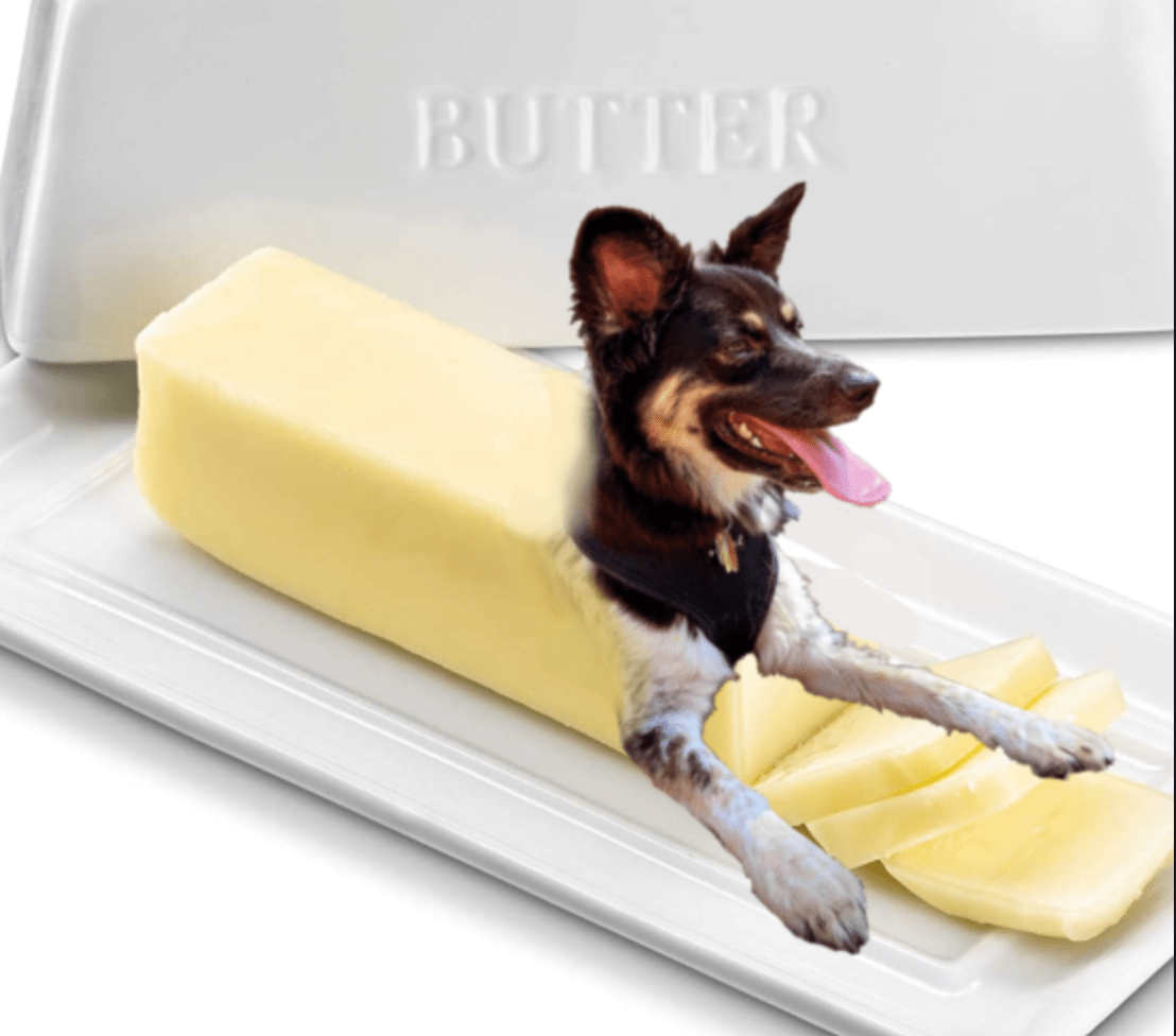 Birthday boi butter dog!! Happy birthday Spencer!! ) r/CrankGameplays