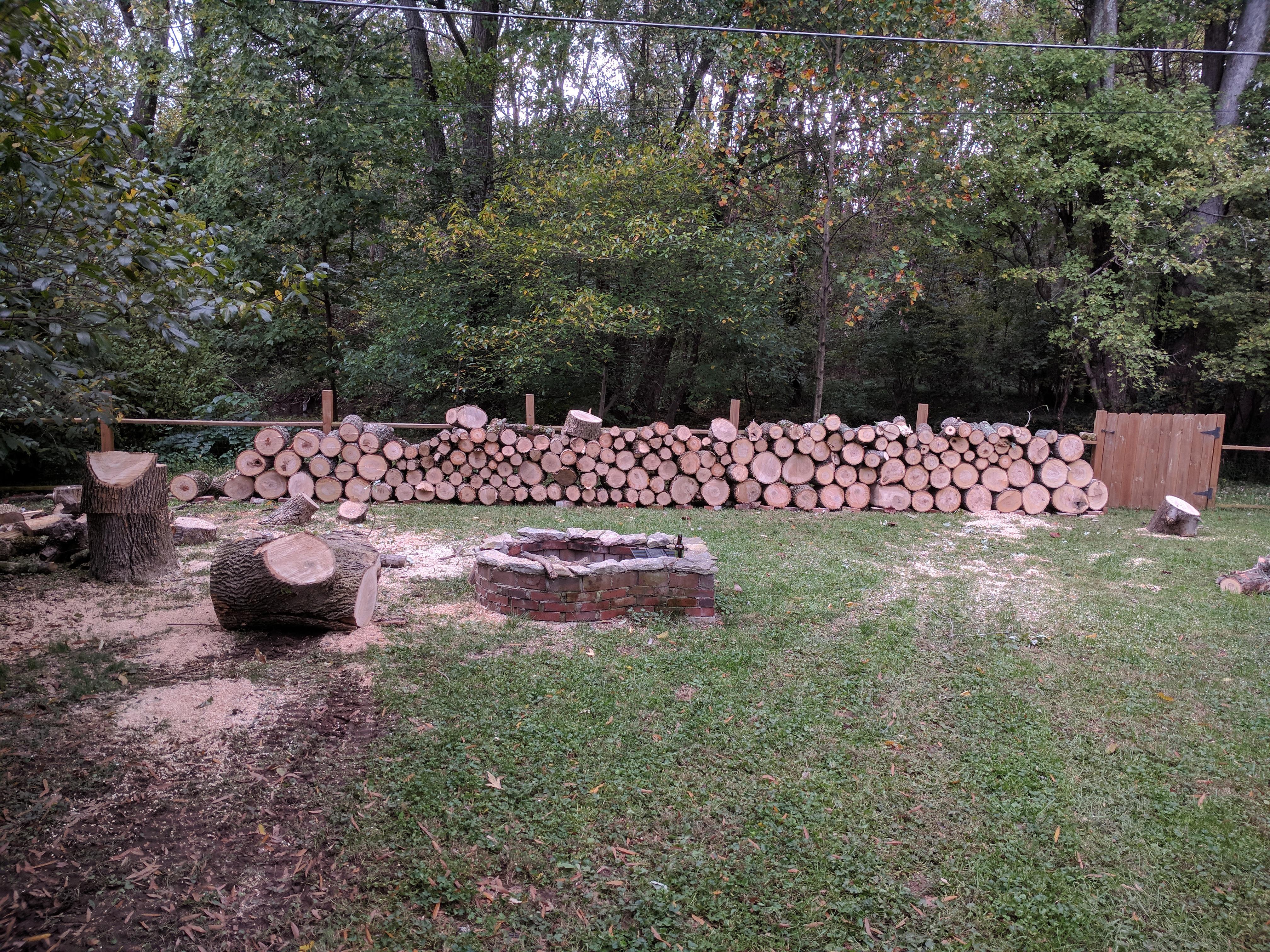 842 best r/firewood images on Pholder Can anyone tell me if this pine