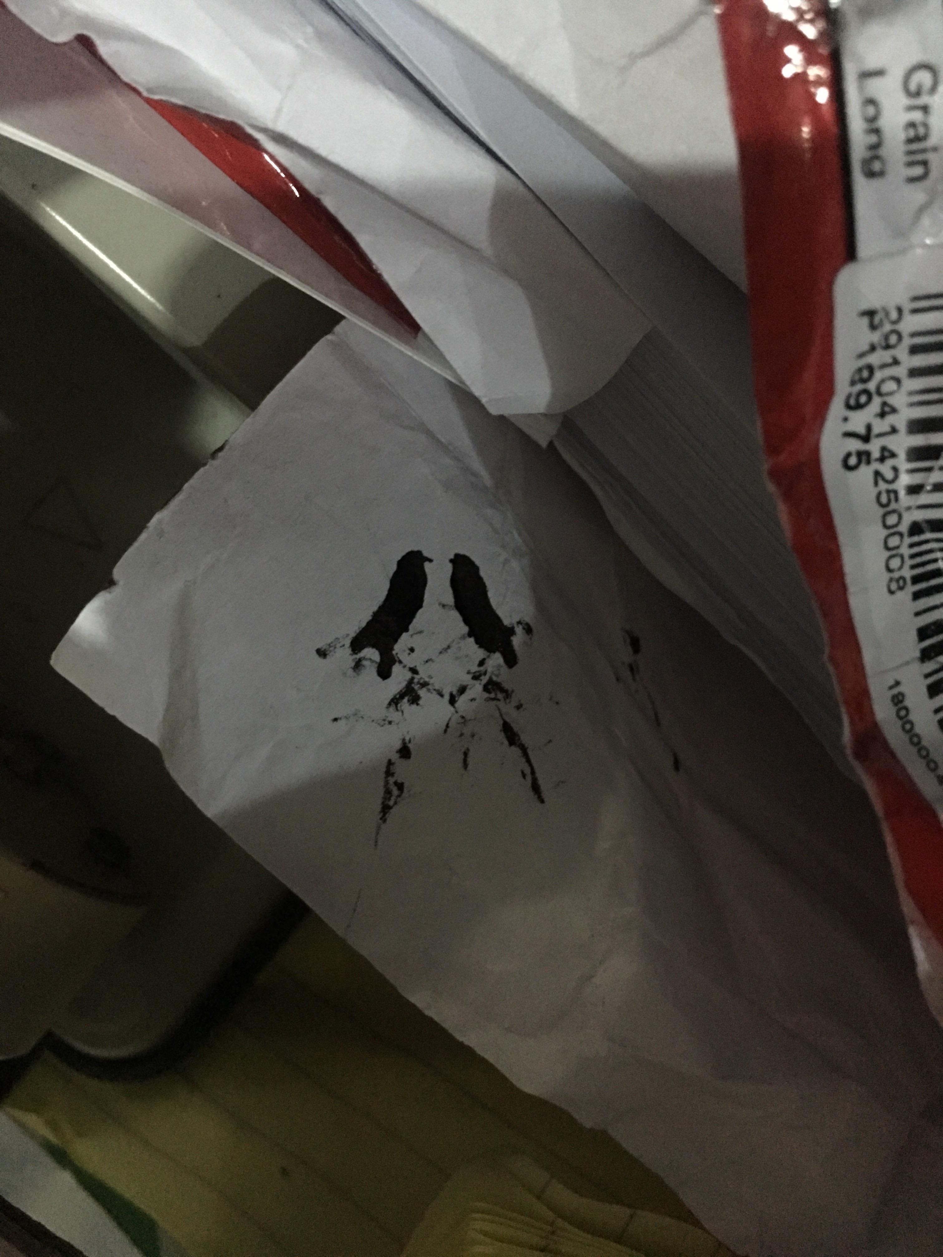 Ink stains from ballpoint pen look like love birds. r/mildlyinteresting