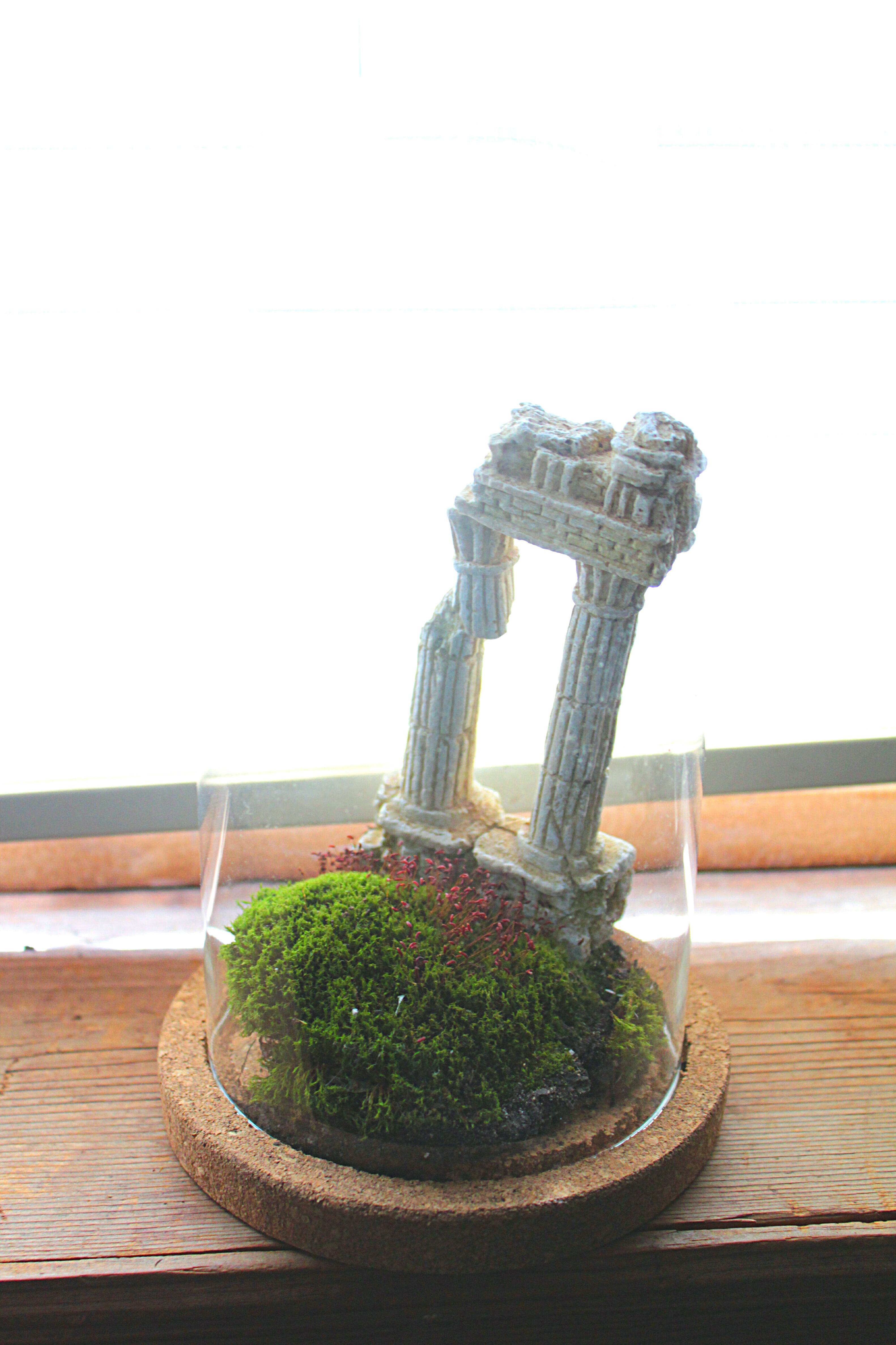 I added a fish tank ornament for fun. r/terrariums