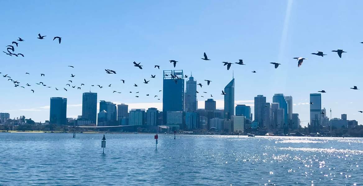 The best city in the world. r/perth