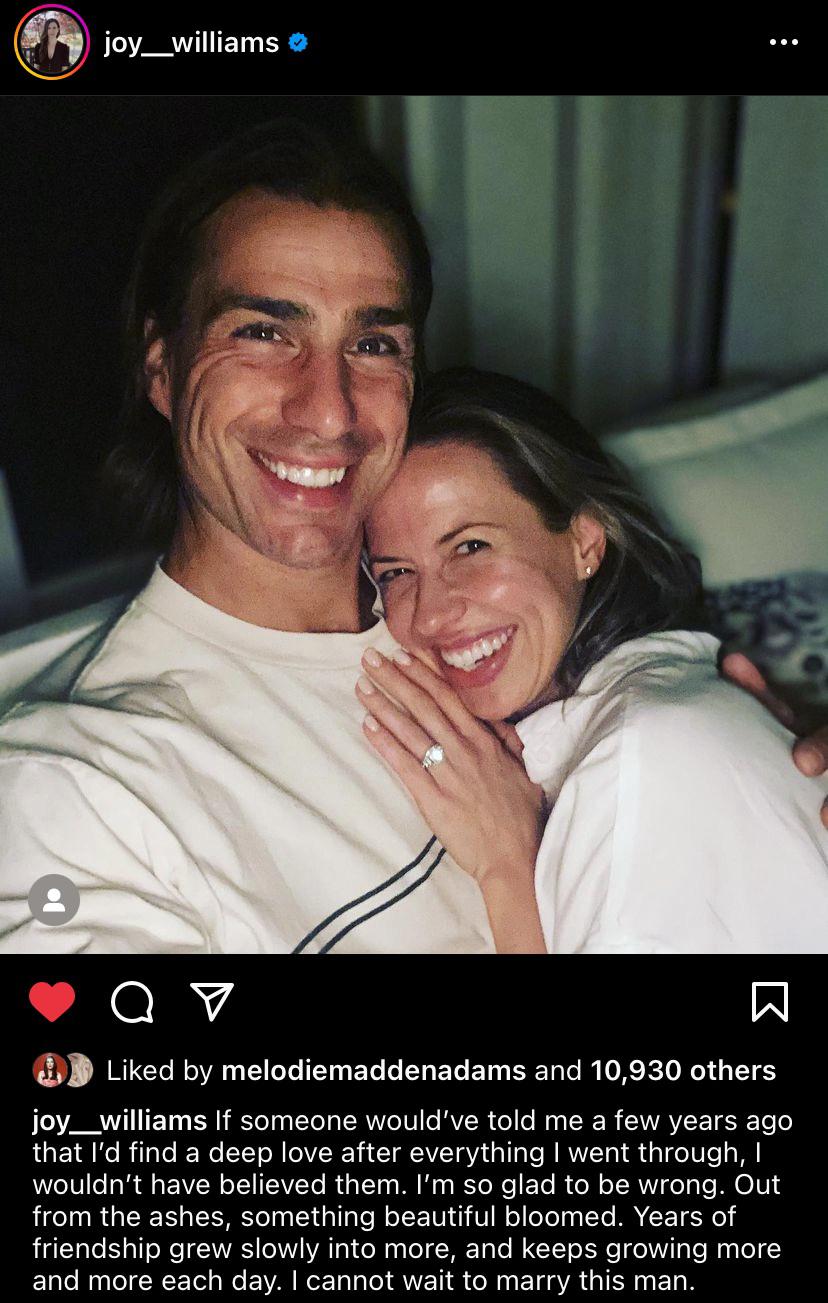 Surprise By Joy Williams