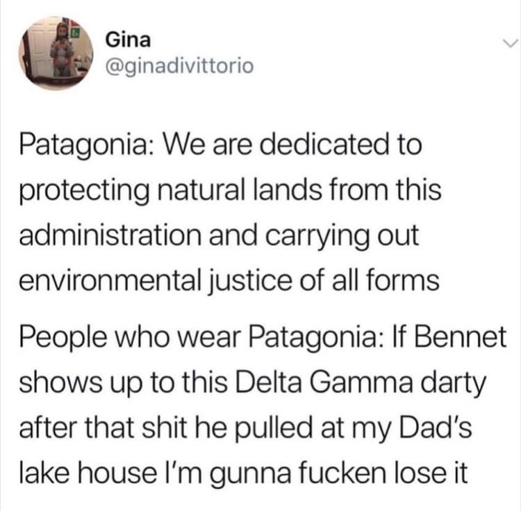 patagonia vs people who wear patagonia r/WhitePeopleTwitter