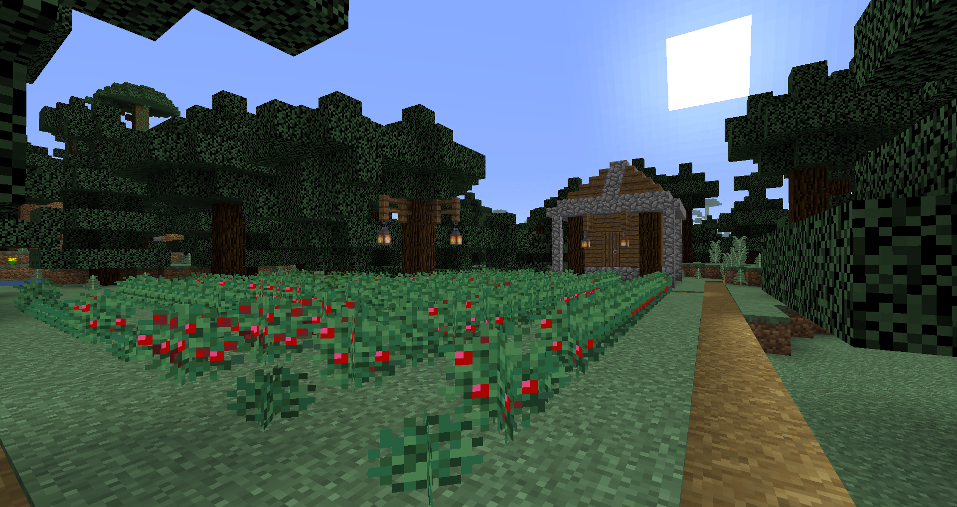 I stumbled upon a taiga biome and decided to a berry farmer r