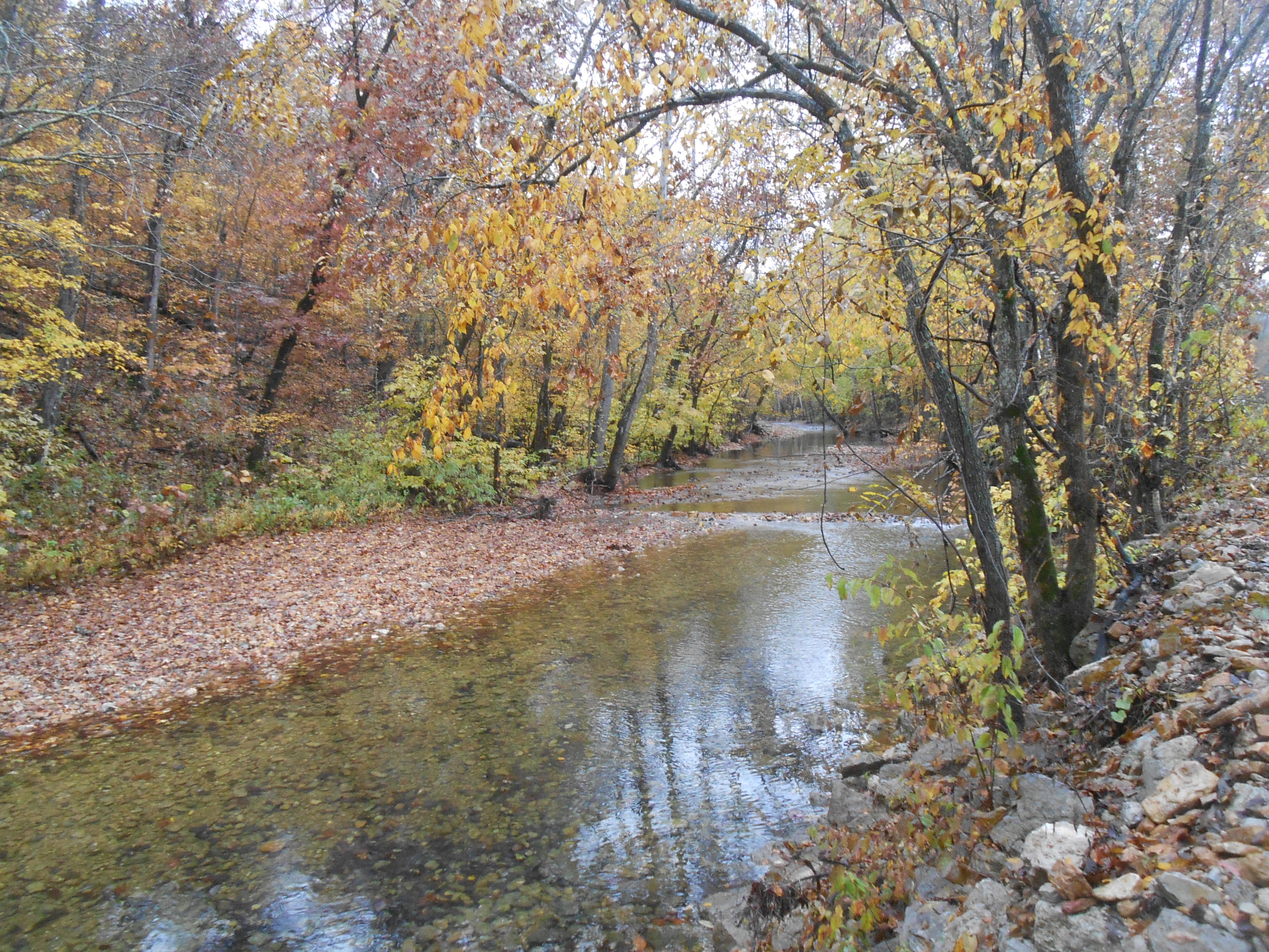 A river in Missouri r/naturepics