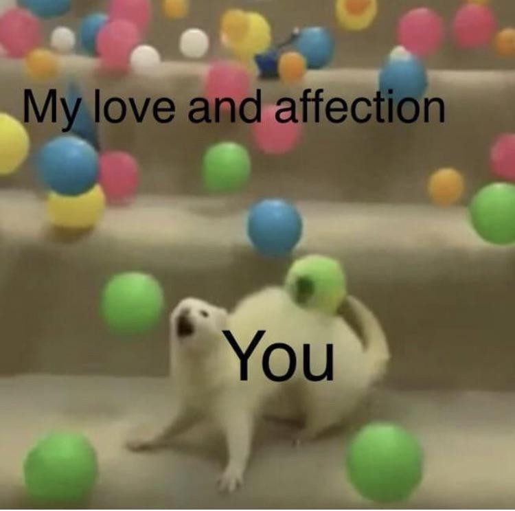 I send love memes for my boyfriend every night! lovesomememes