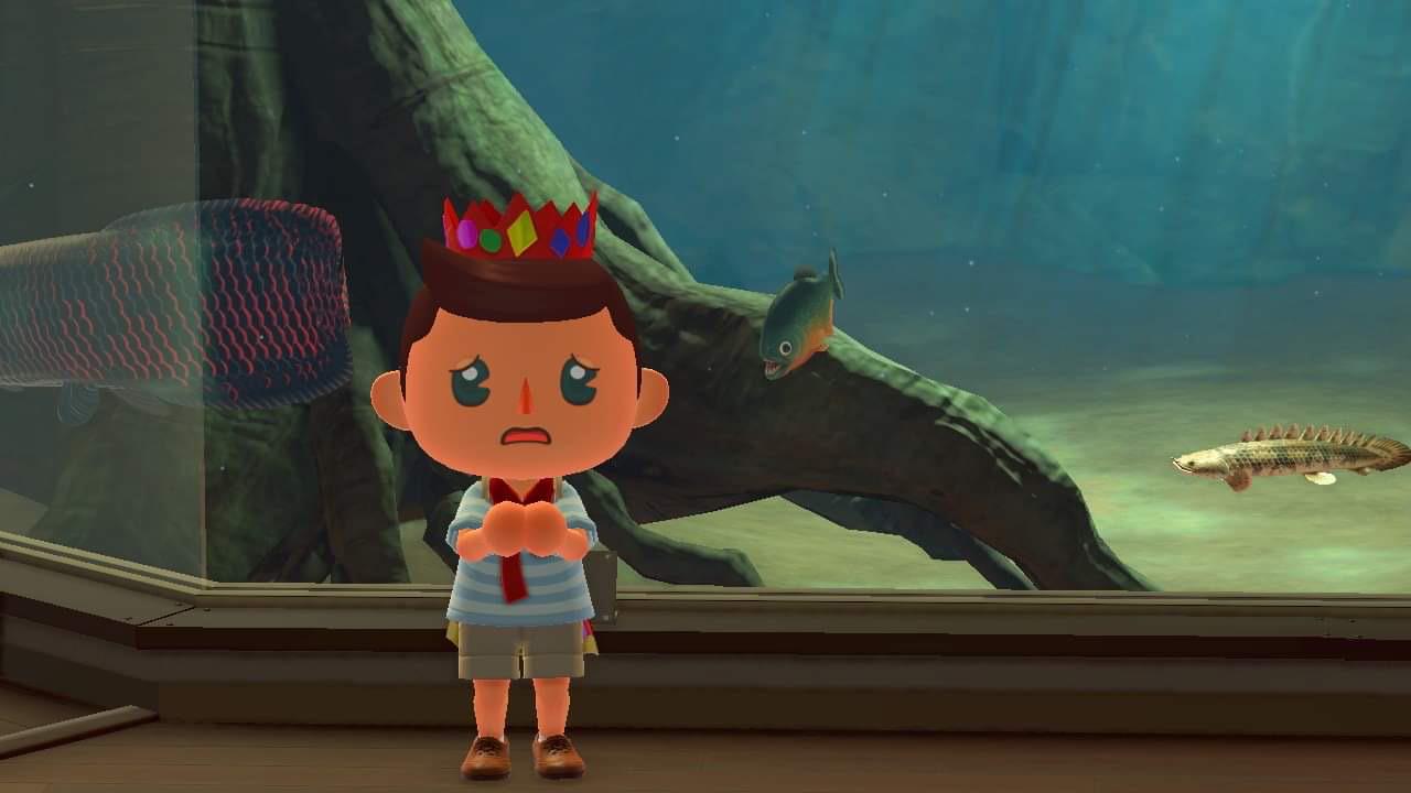 Animal Crossing 10 Wonderful Tiny Details You've Probably Missed Page 5