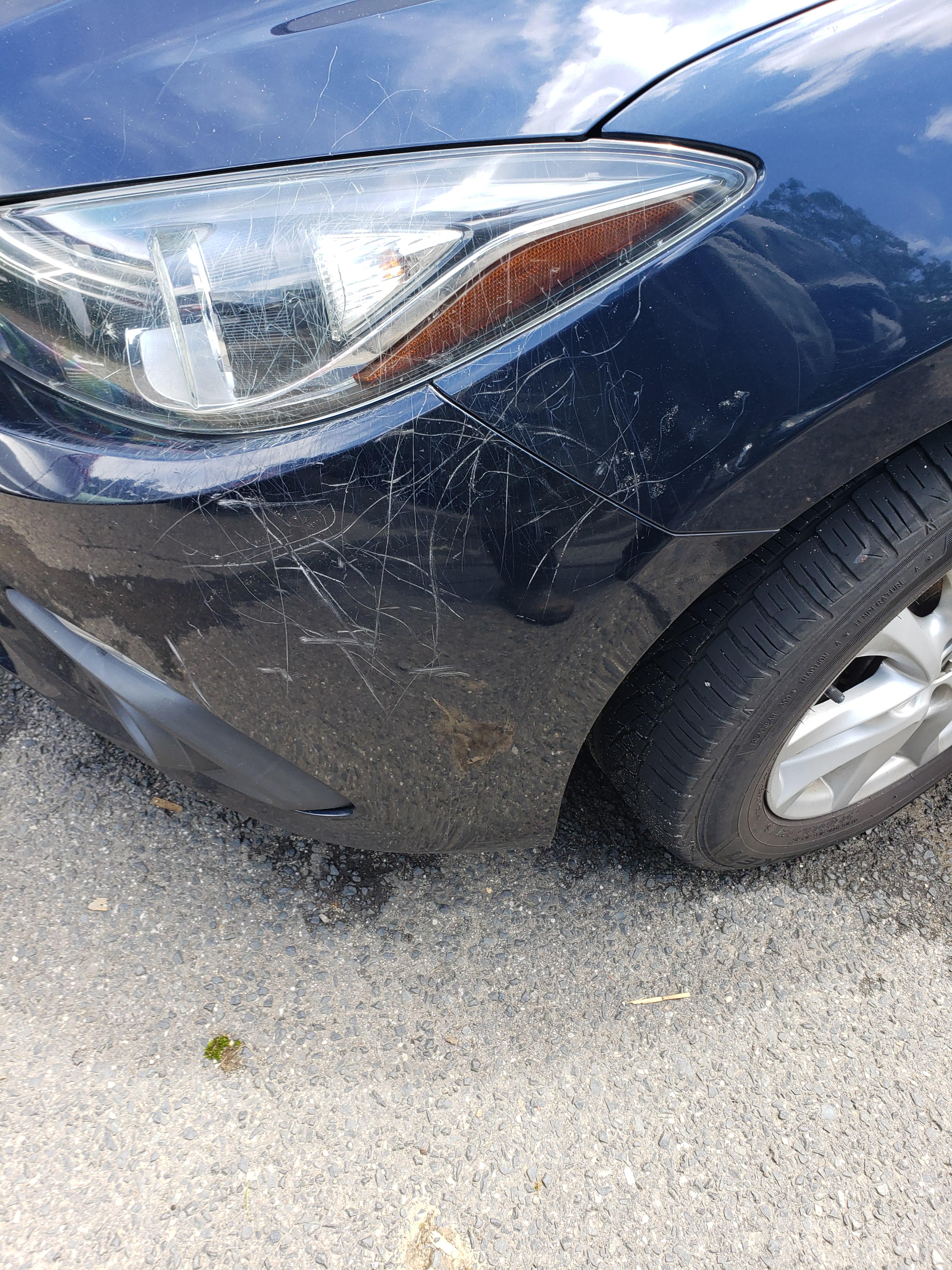 Can you (reliably) paint over chrome bumpers? Autobody
