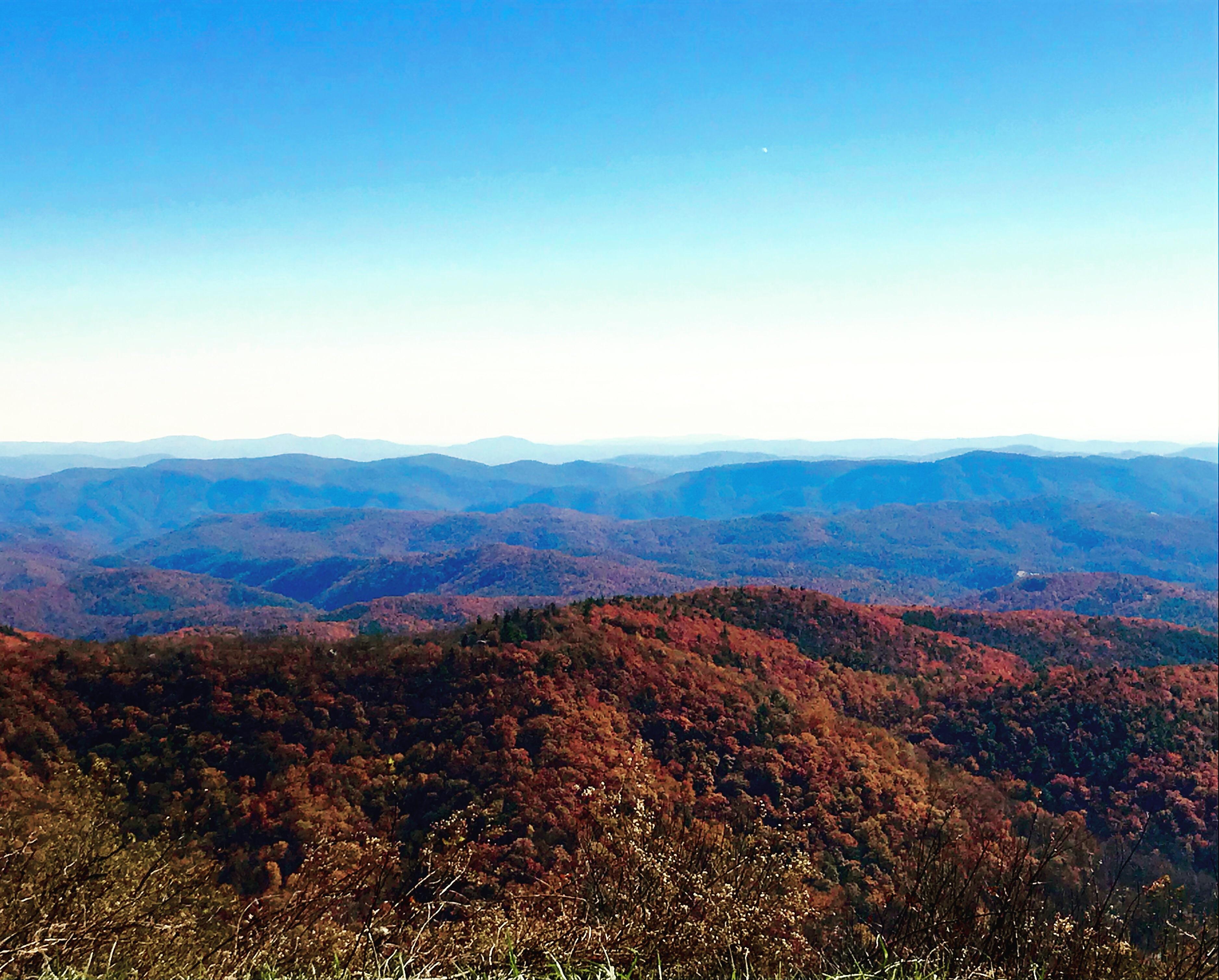 Fall in the NC Blue Ridge Mountains r/backpacking