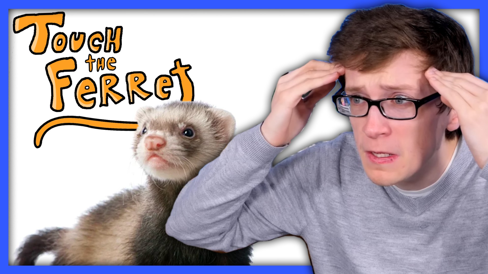 Touch the Ferret Best on Wii, Bad on Anything Scott the Woz r