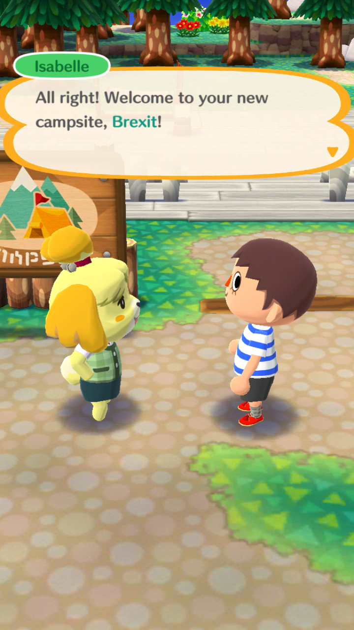 In animal crossing pocket camp r/RTGame