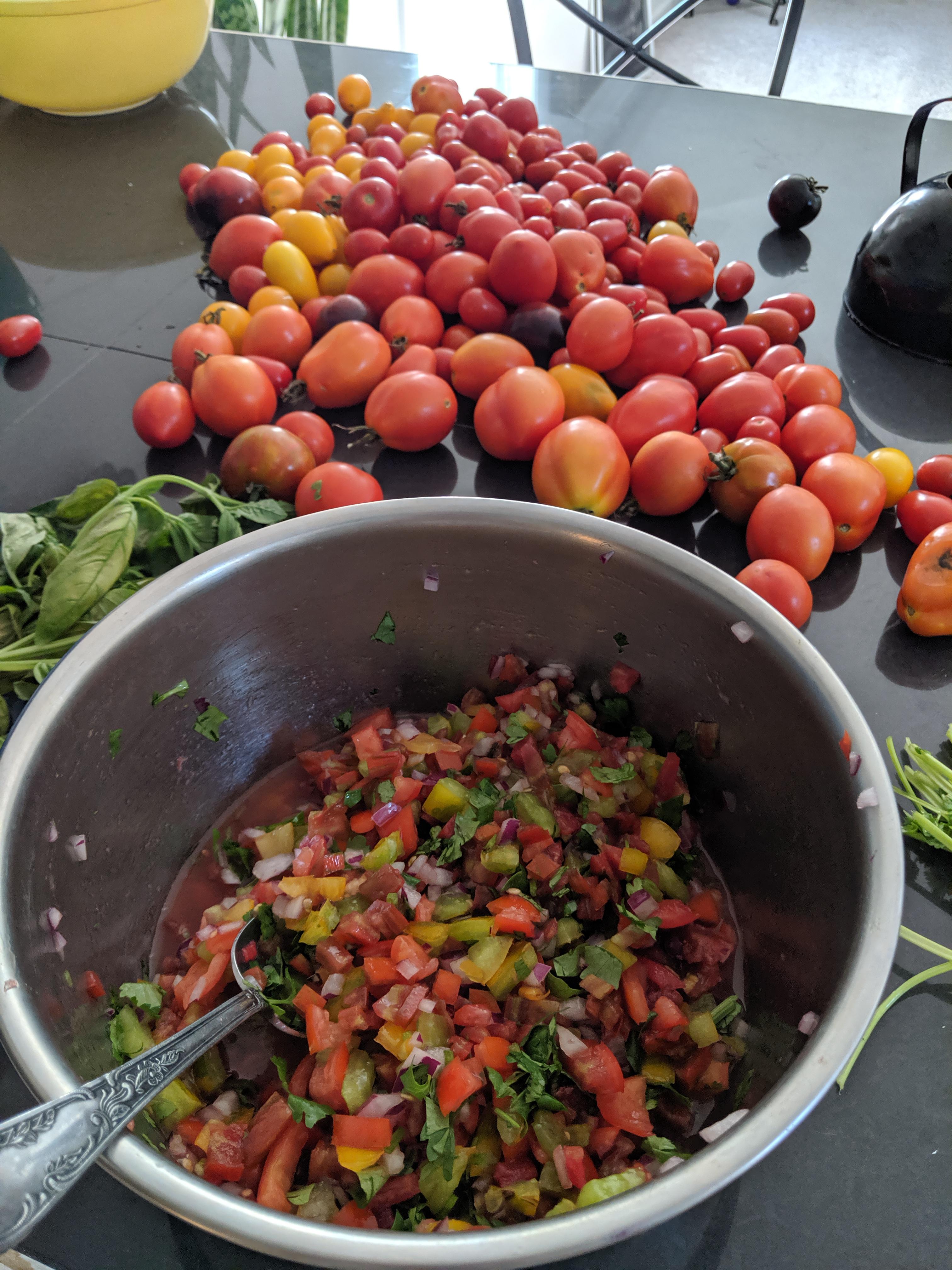 Made Pico de Gallo with all of our heirloom tomatoes! r