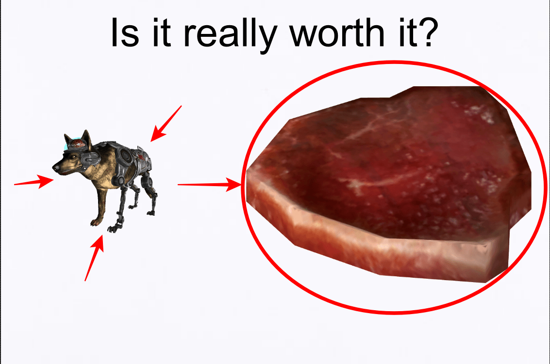 Is it really worth it? r/NewVegasMemes