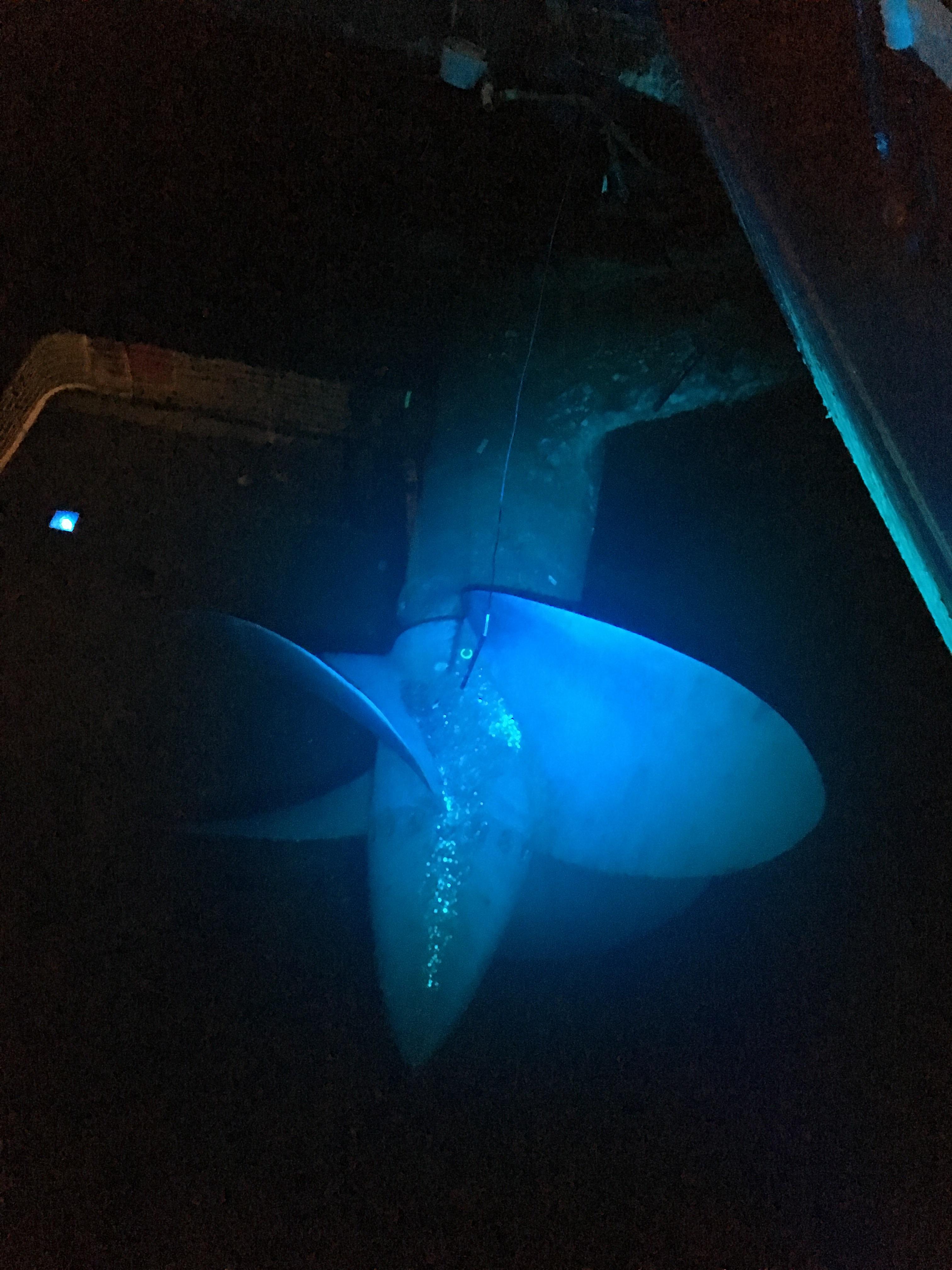 Queen Mary Propeller in Long Beach, CA r/submechanophobia