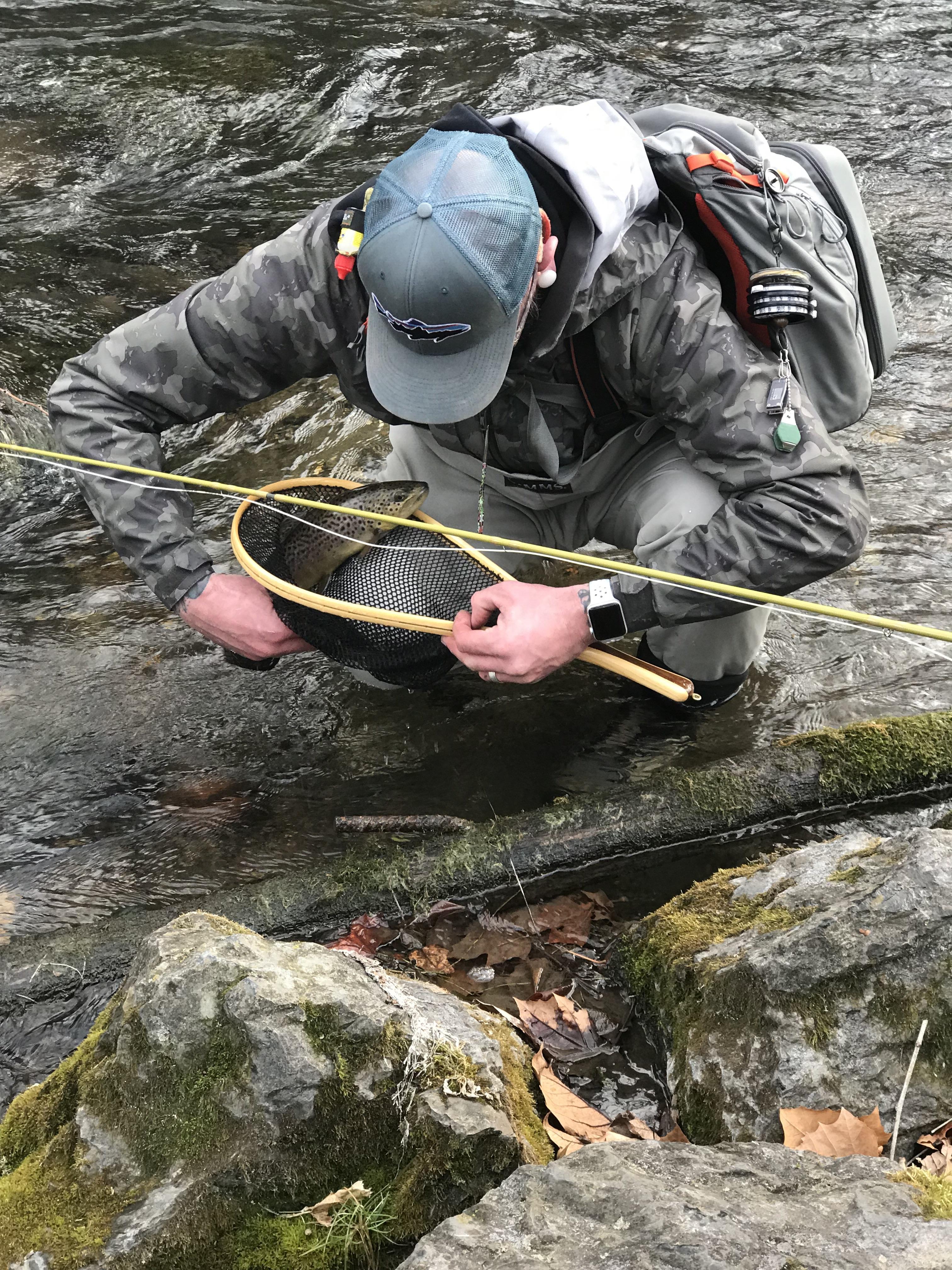 Brown on the Yellow Breeches r/flyfishing