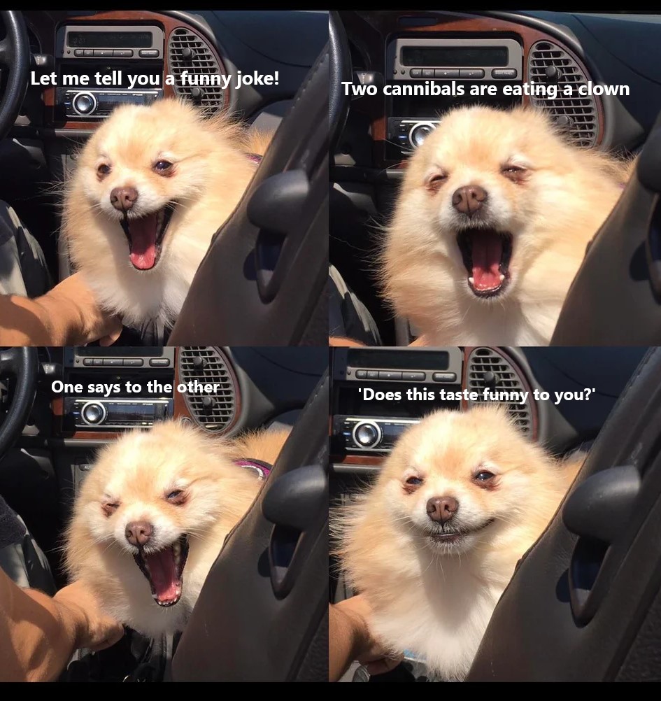 Dog Dad Joke r/memes