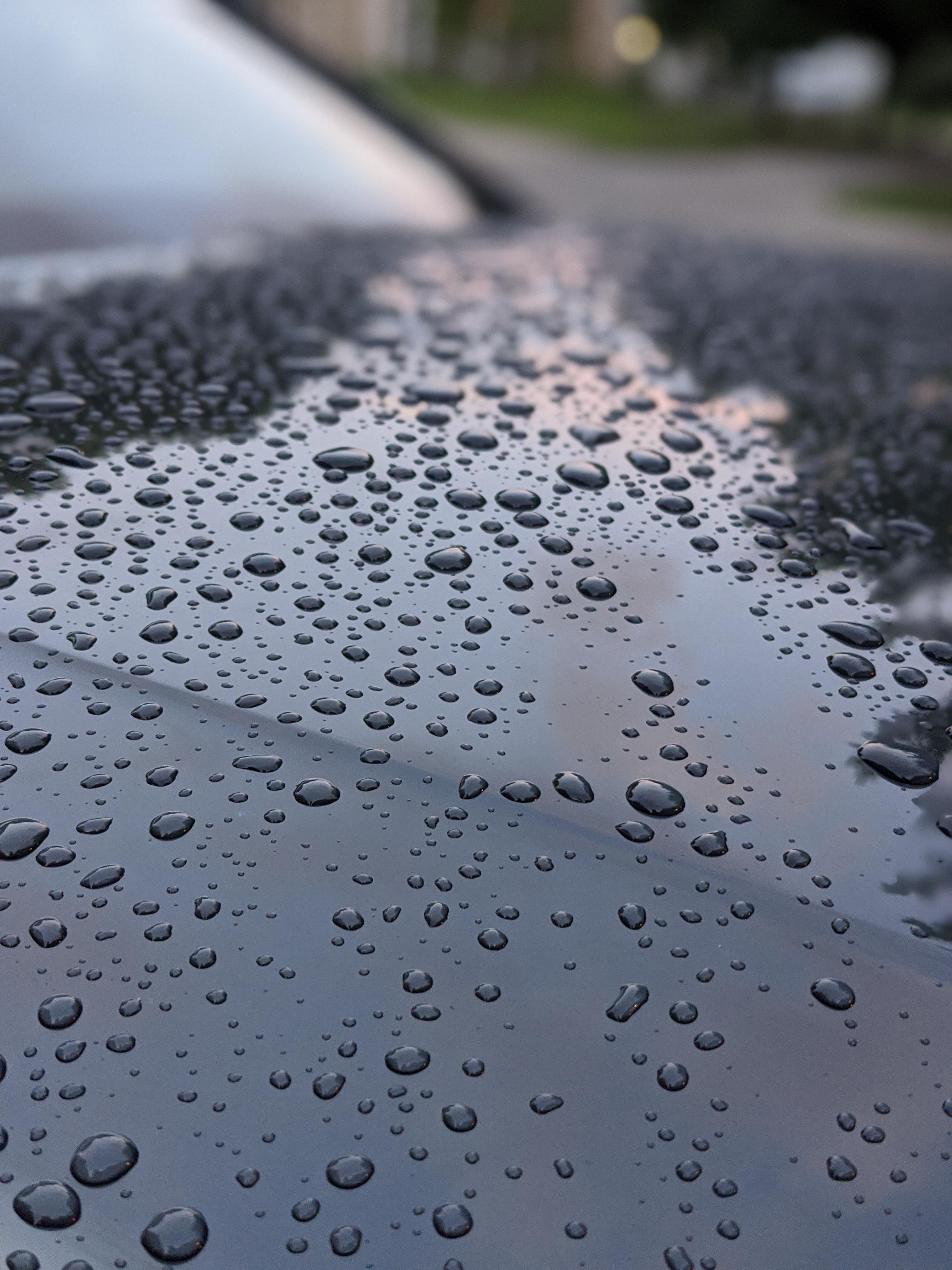 Love the way water beads on my car. Makes me want a professional