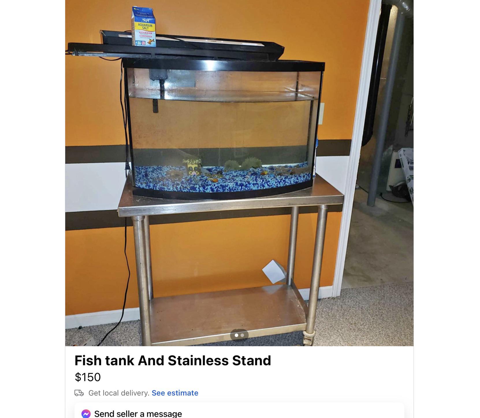 TW dead pets. This person selling this tank took a pic w the dead fish