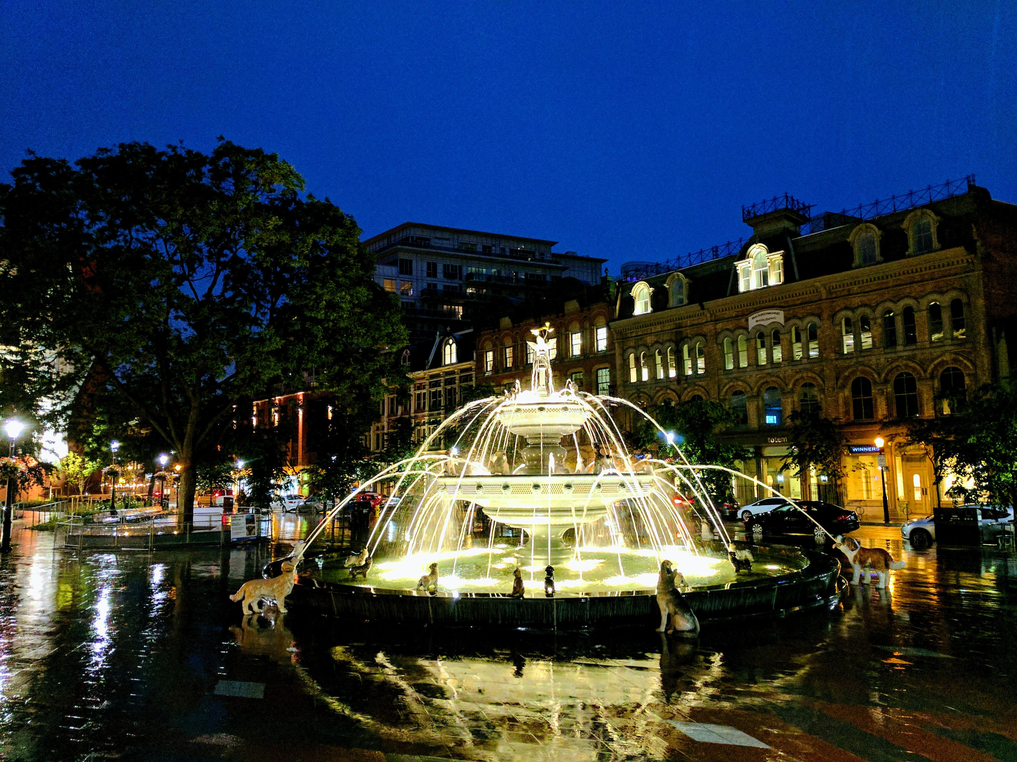 Berczy Park's dog fountain looks great in the rain r/toronto