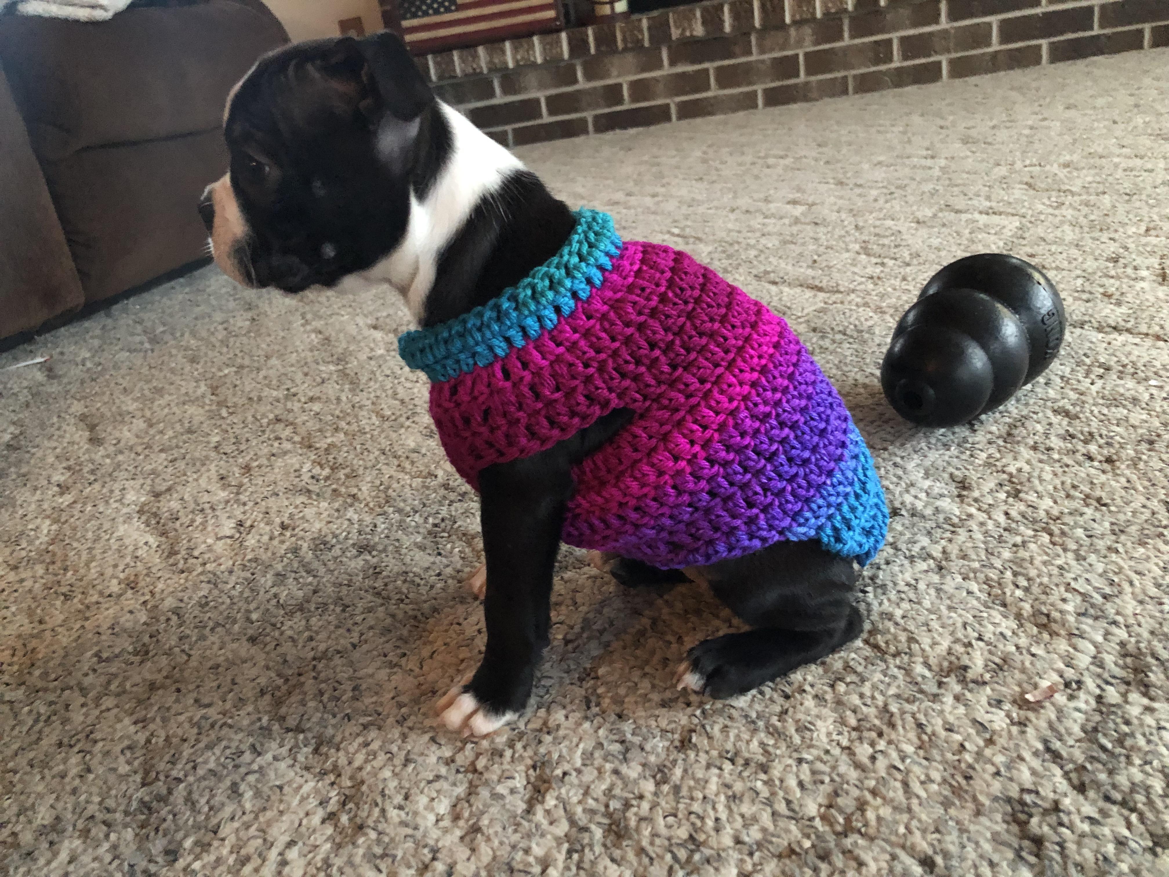 Freehanded a little sweater for my parents’ new Boston puppy! r/crochet