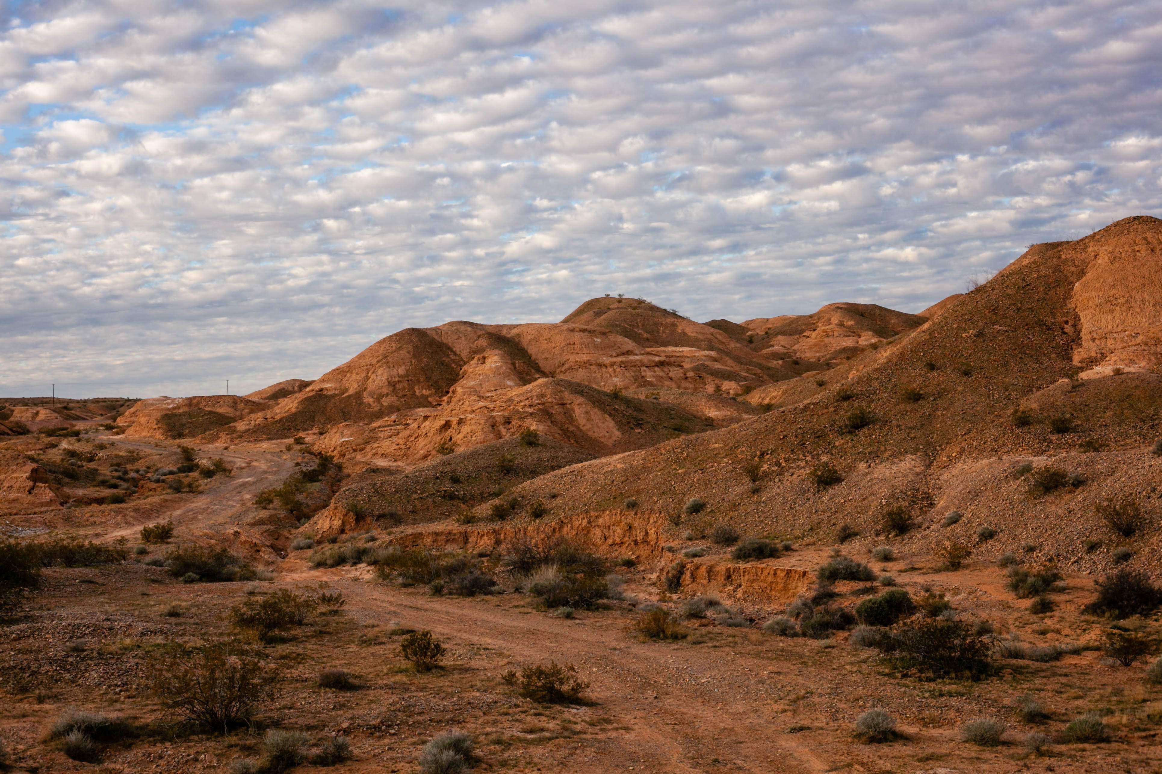 Moapa Valley Nevada r/LandscapePhotography