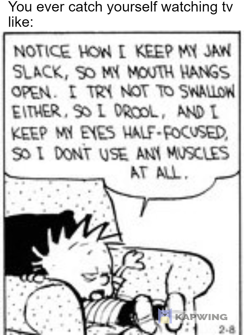 6 best u/ethanthefishman images on Pholder Calvinandhobbes