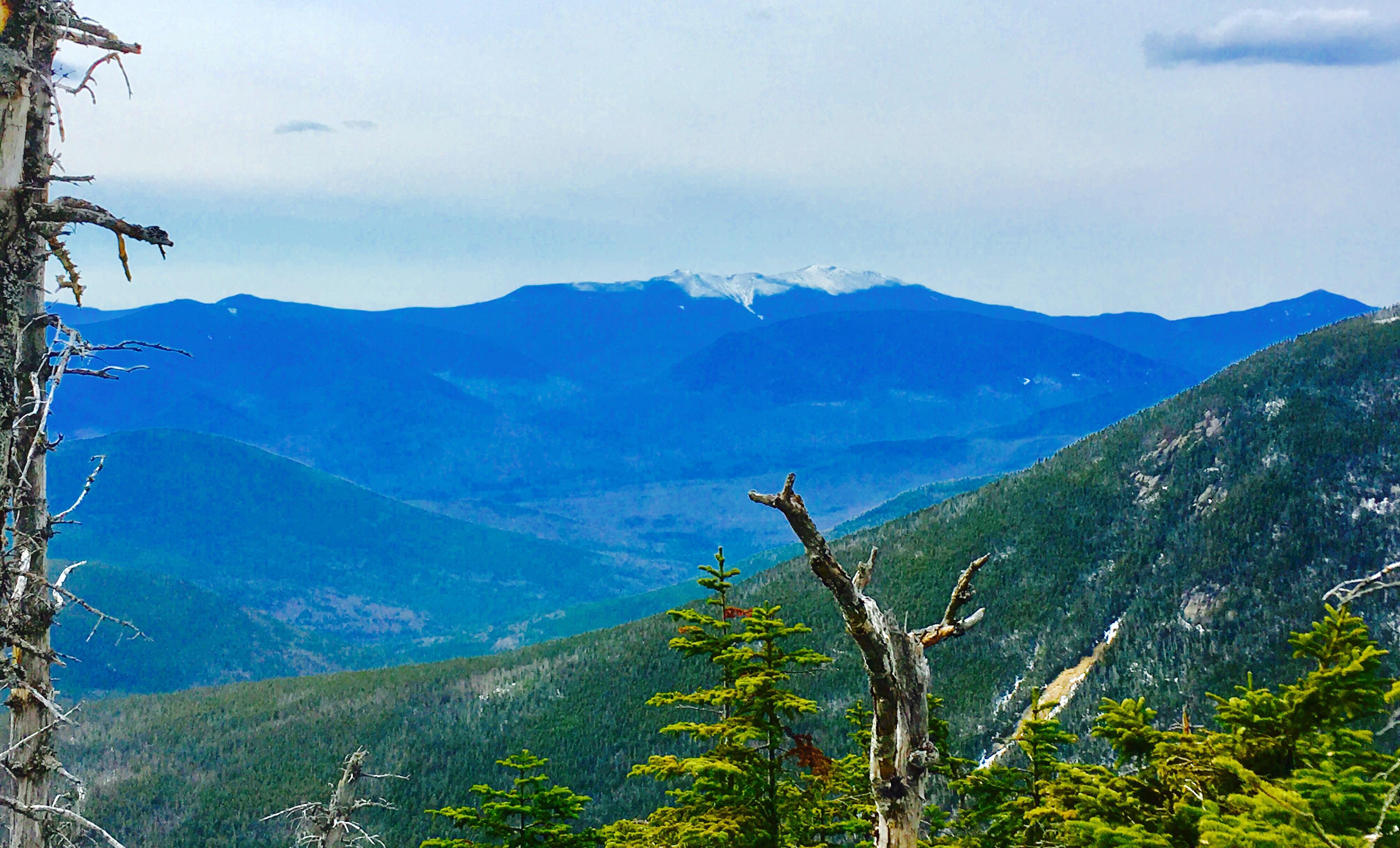 View from atop Mount Hancock, White Mountain National Forest r