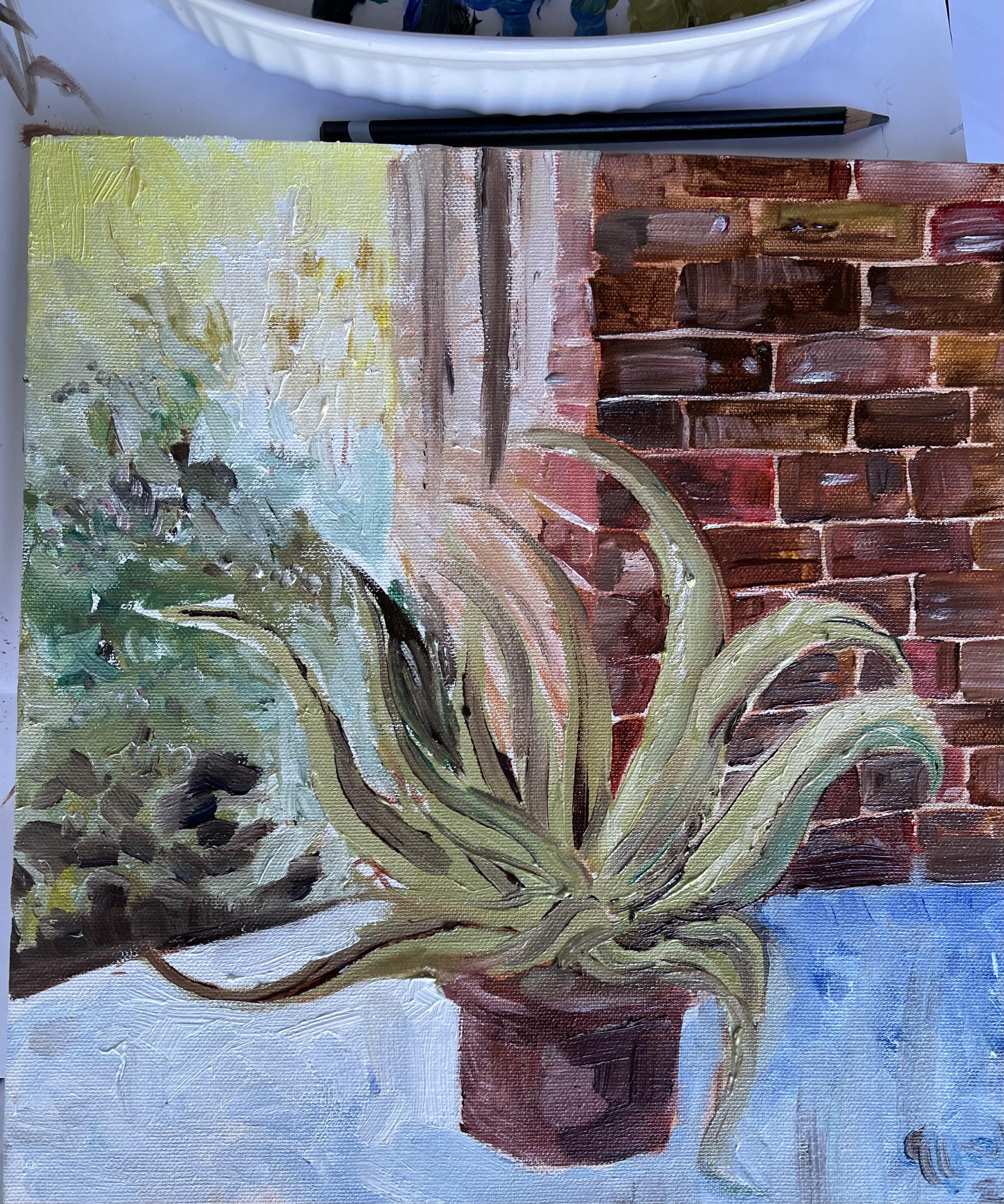 Put my aloe outside on the porch and did a quick oil paint study of it