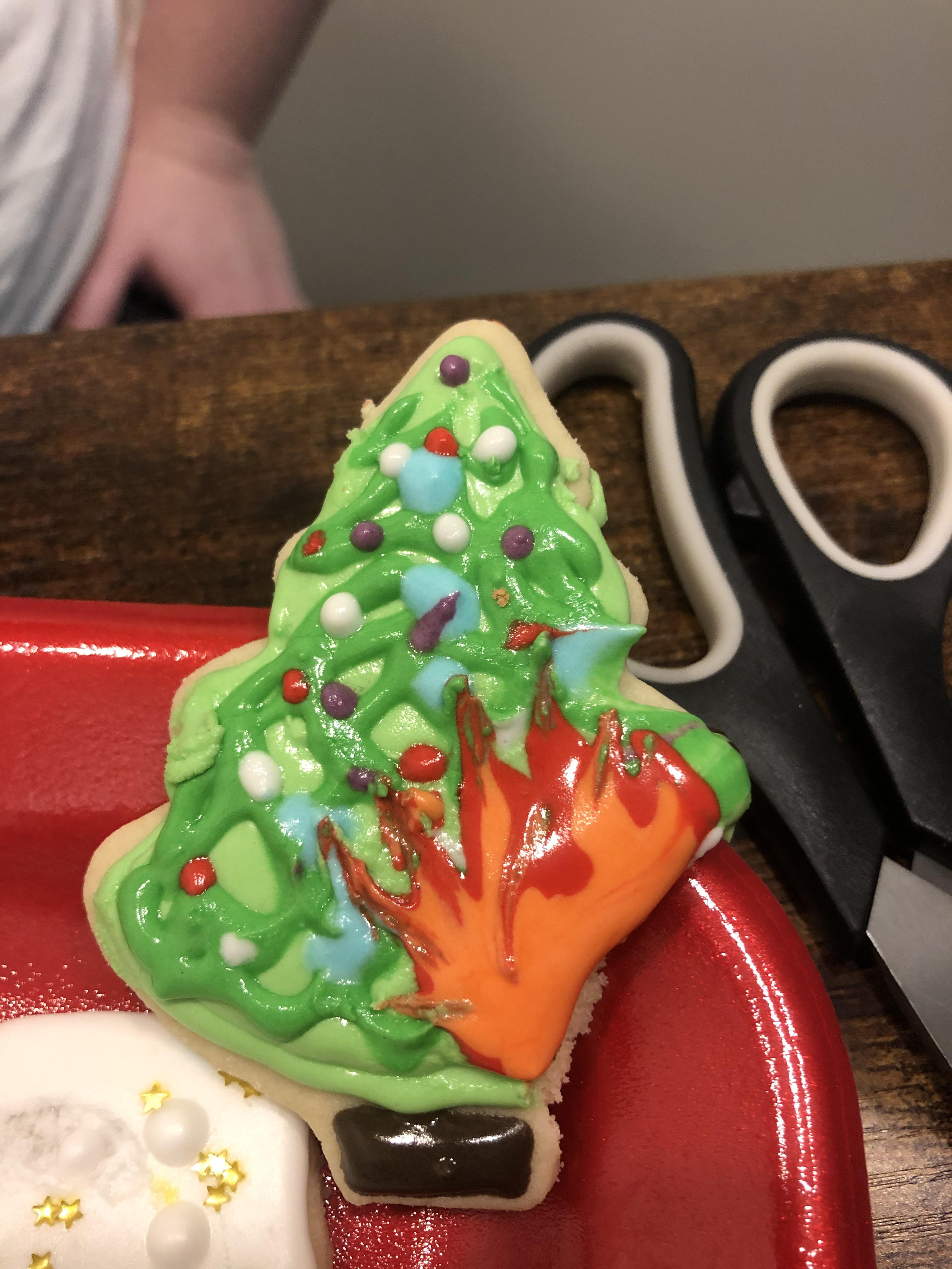 Made a Christmas tree cookie. In 2020 fashion it broke when I picked it