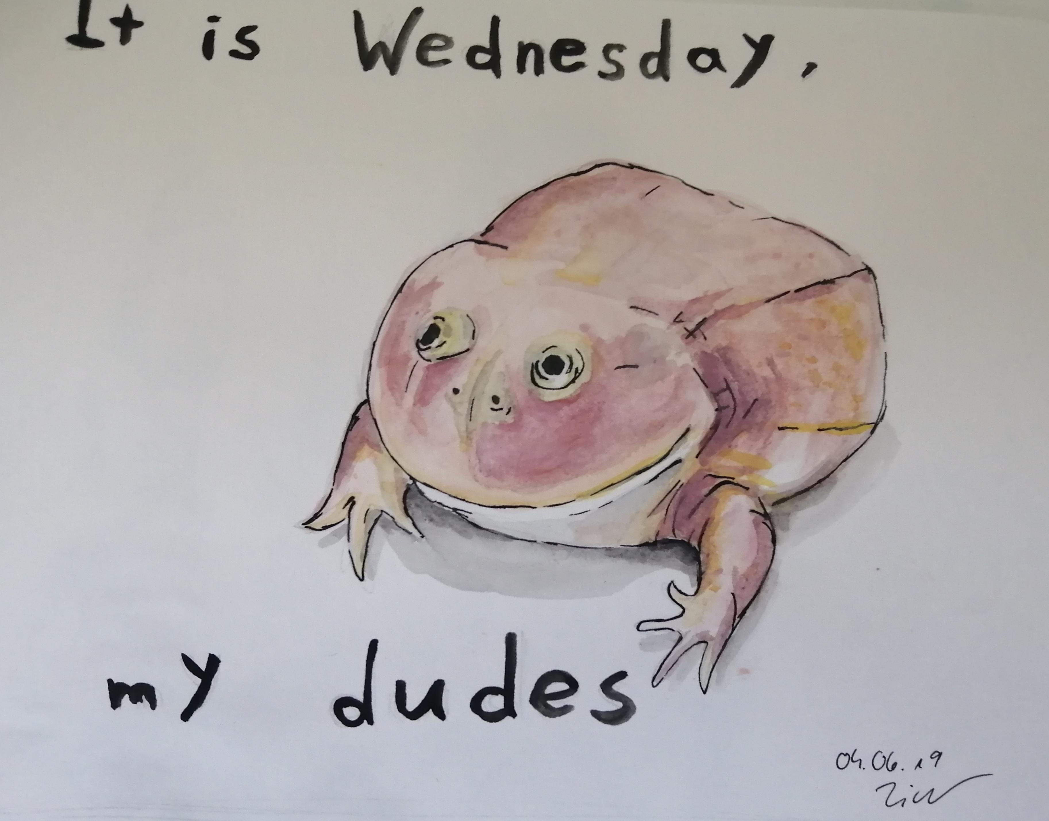 Wednesday frog r/drawing