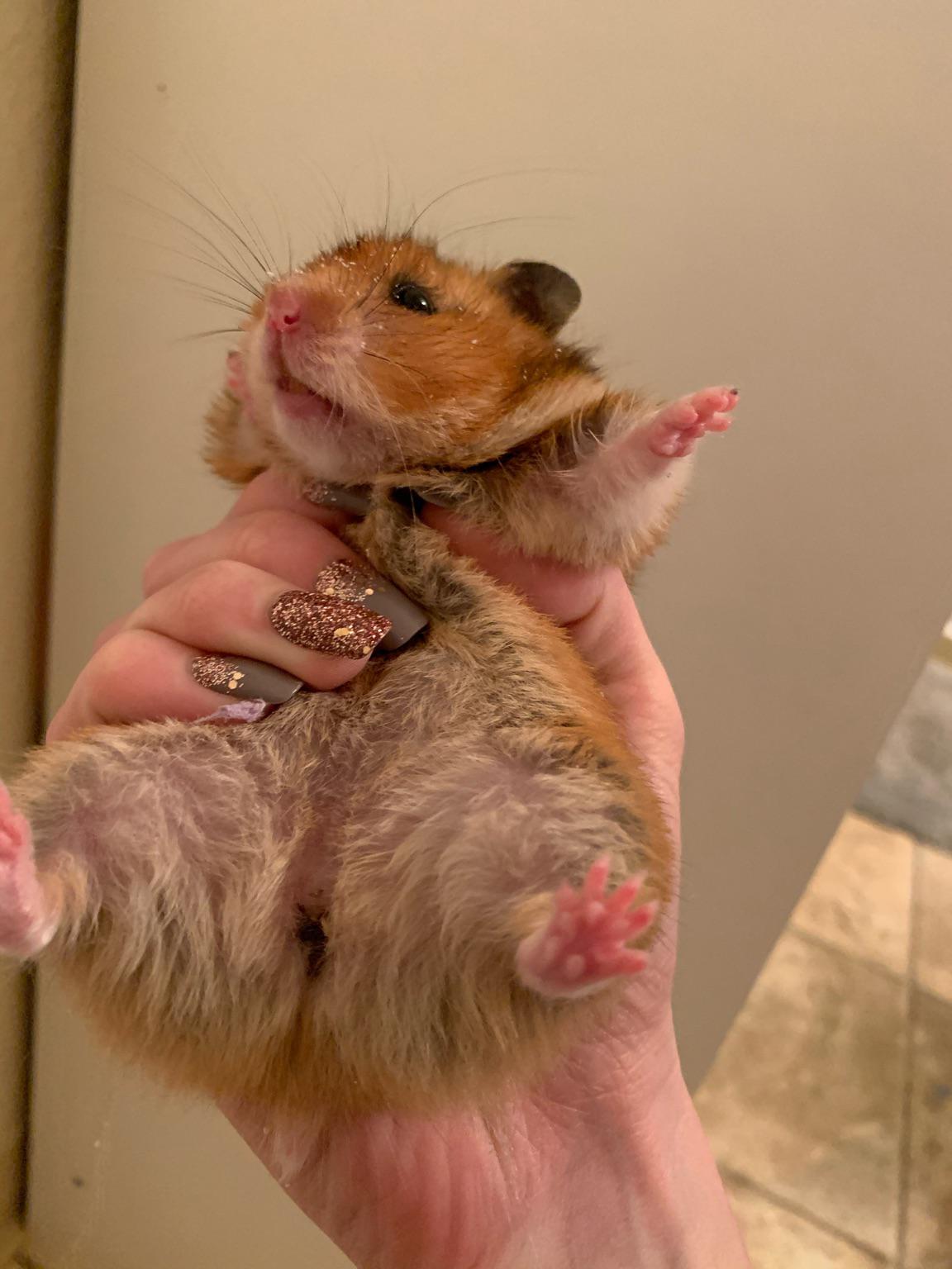 Can anyone confirm my suspicion that this is period blood? Or what else